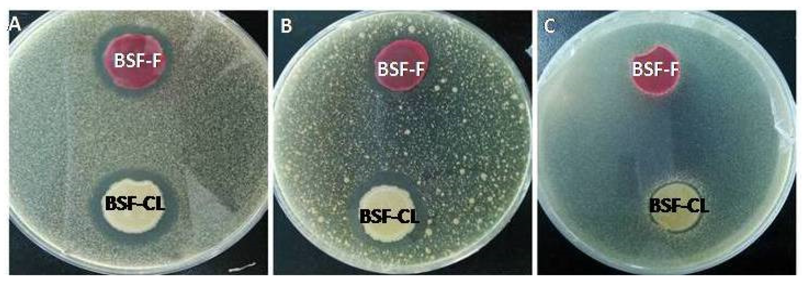 Insects 13 00066 g002