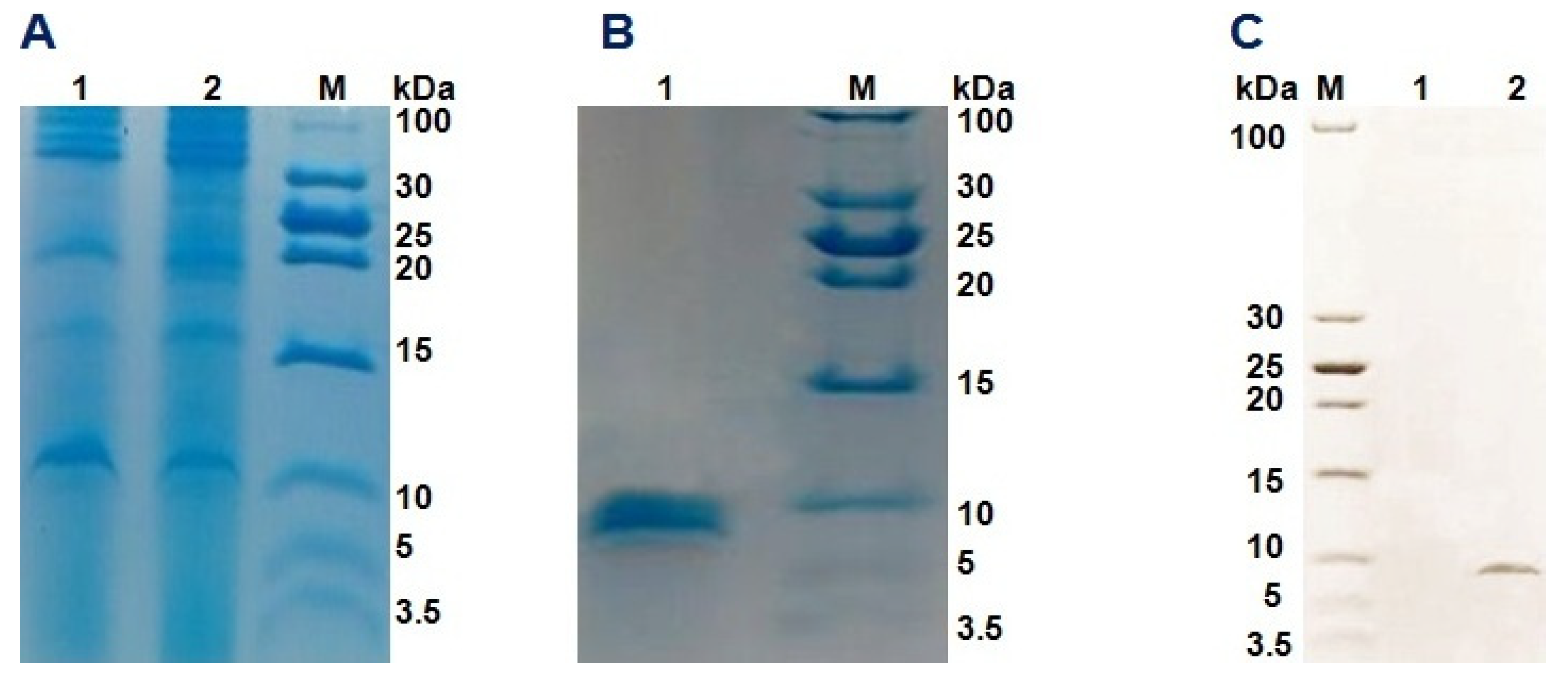 Insects 13 00066 g004