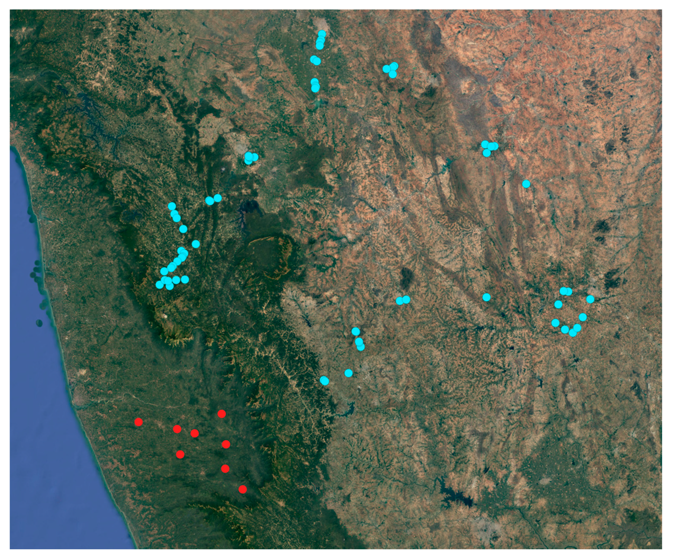 Insects 13 00067 g005