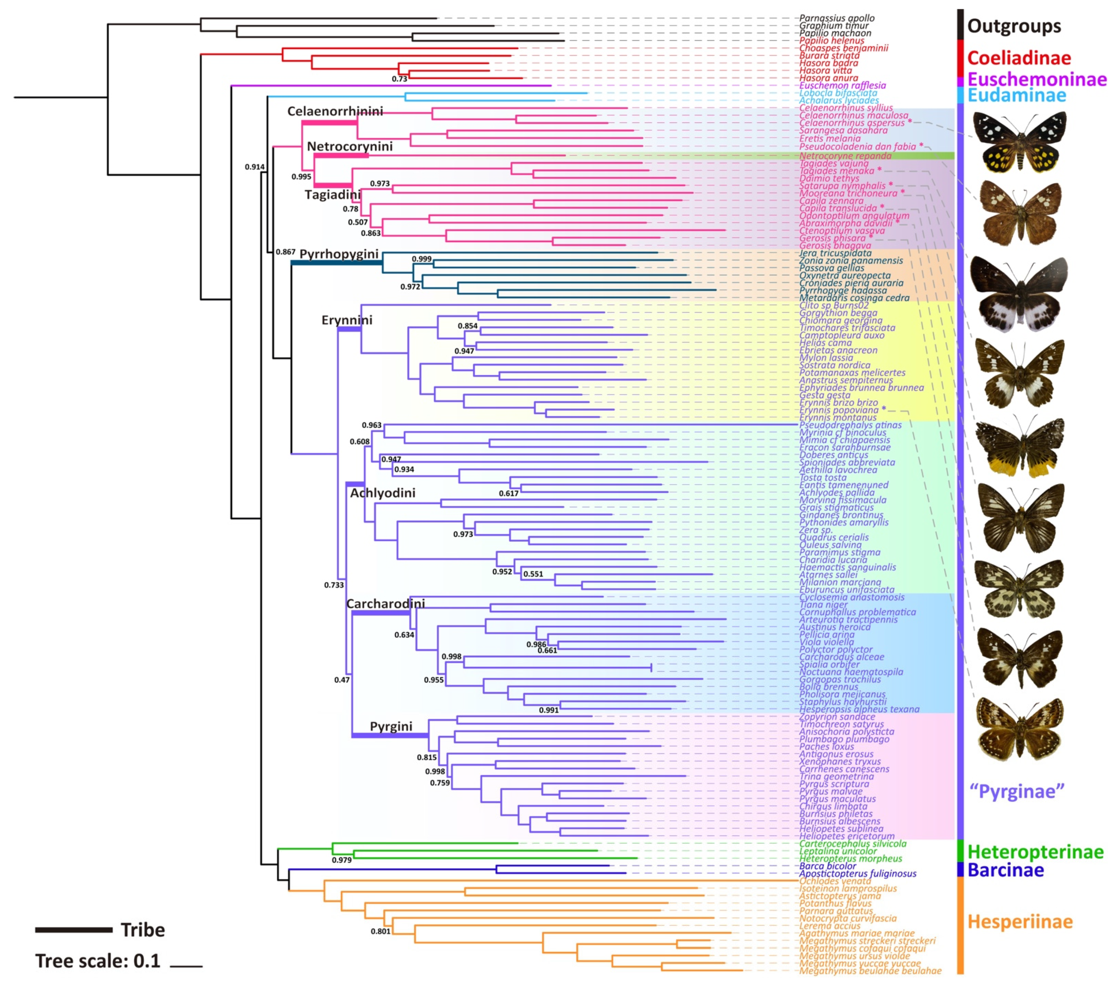 Insects 13 00068 g003