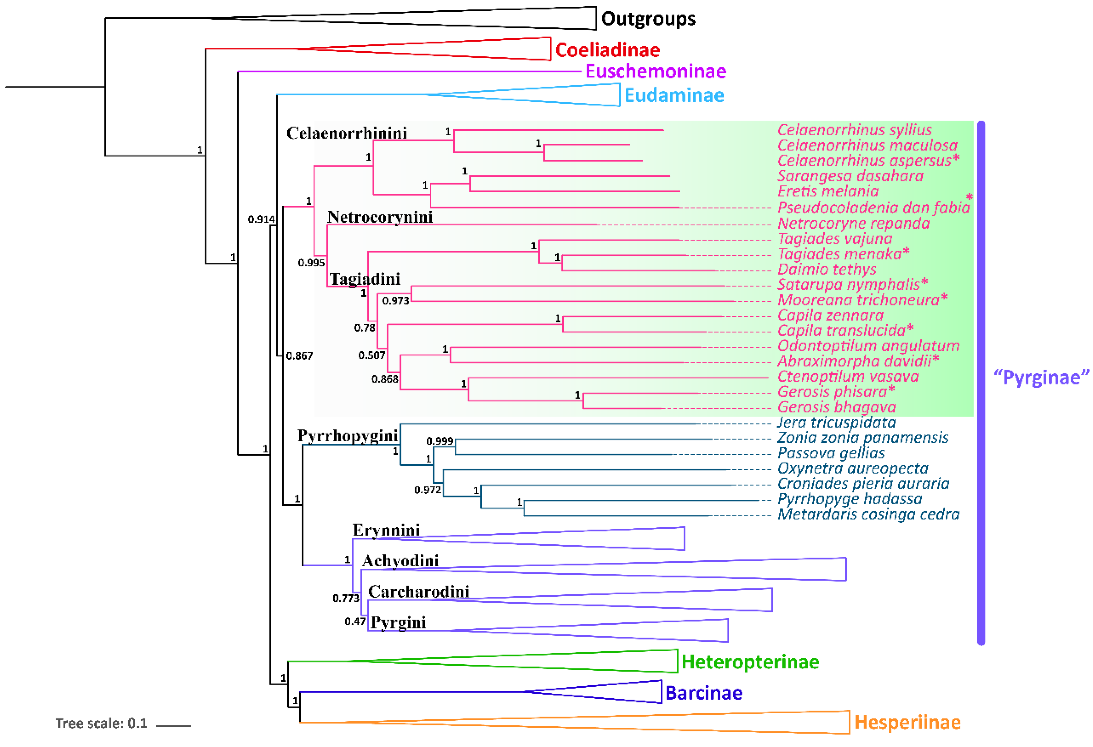 Insects 13 00068 g004