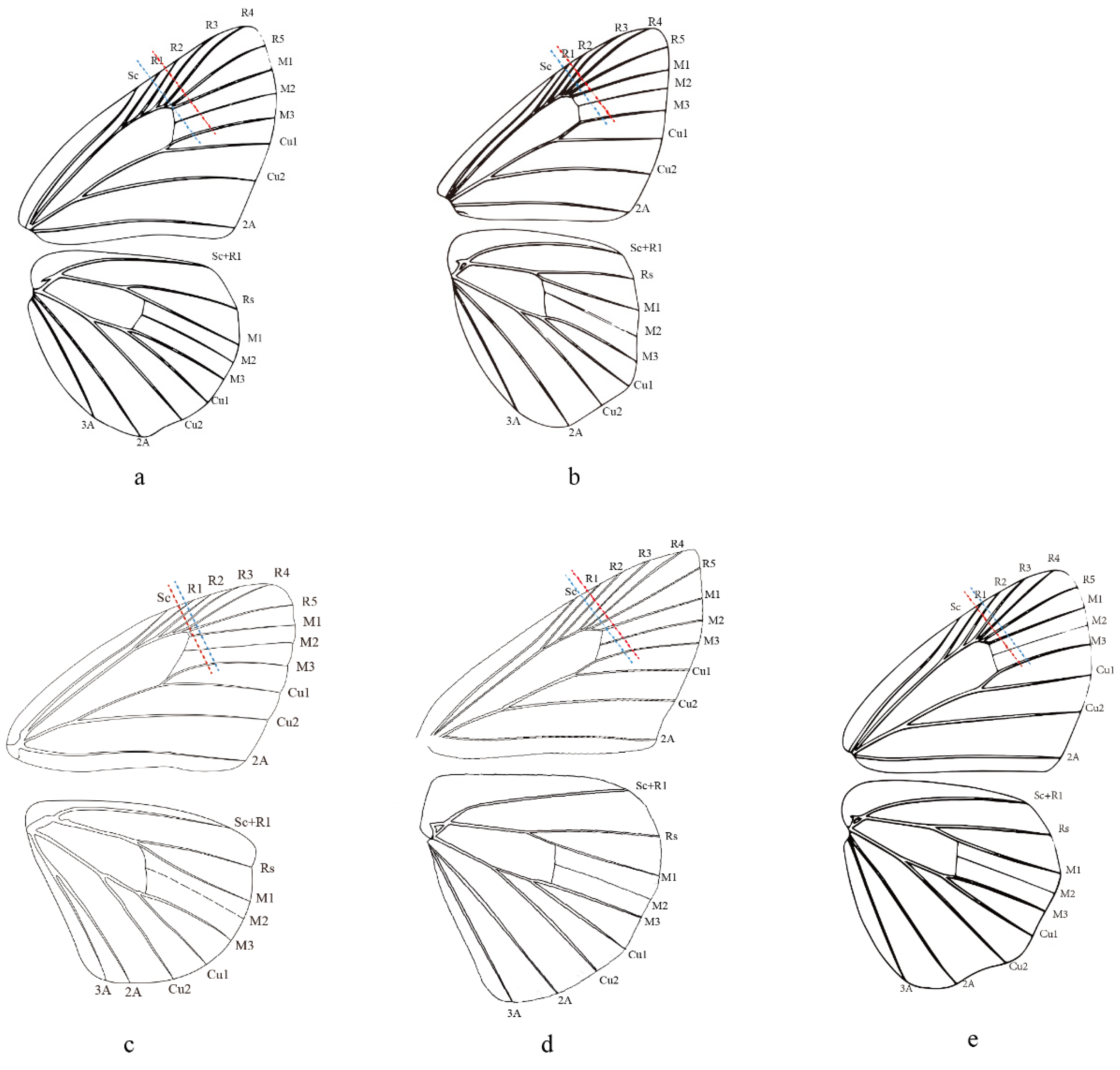 Insects 13 00068 g005