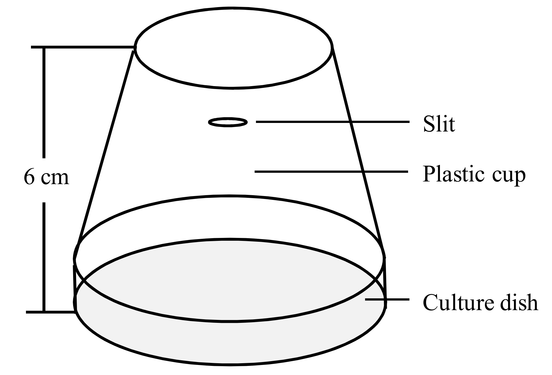 Insects 13 00074 g001