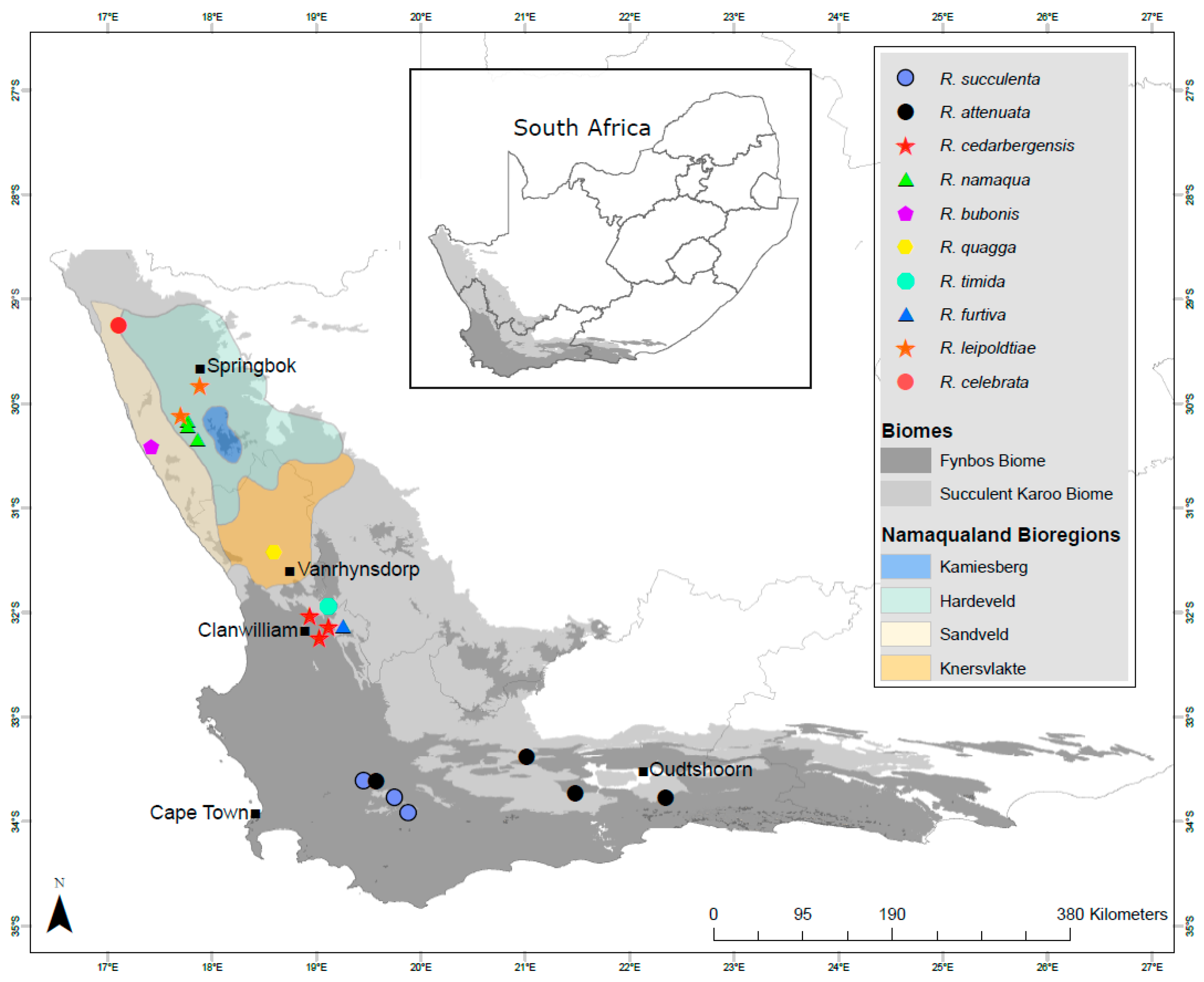 Insects 13 00075 g001