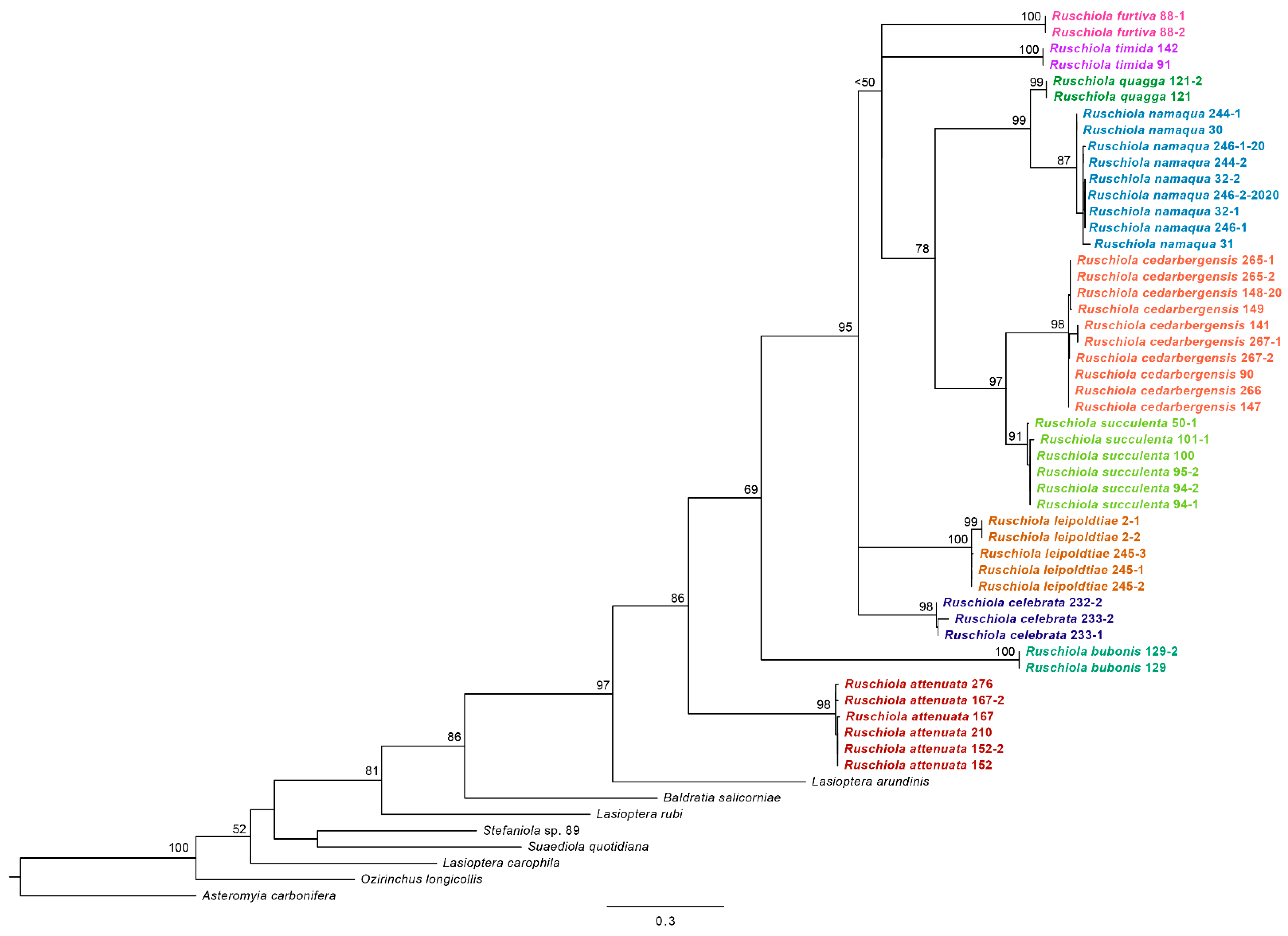 Insects 13 00075 g002