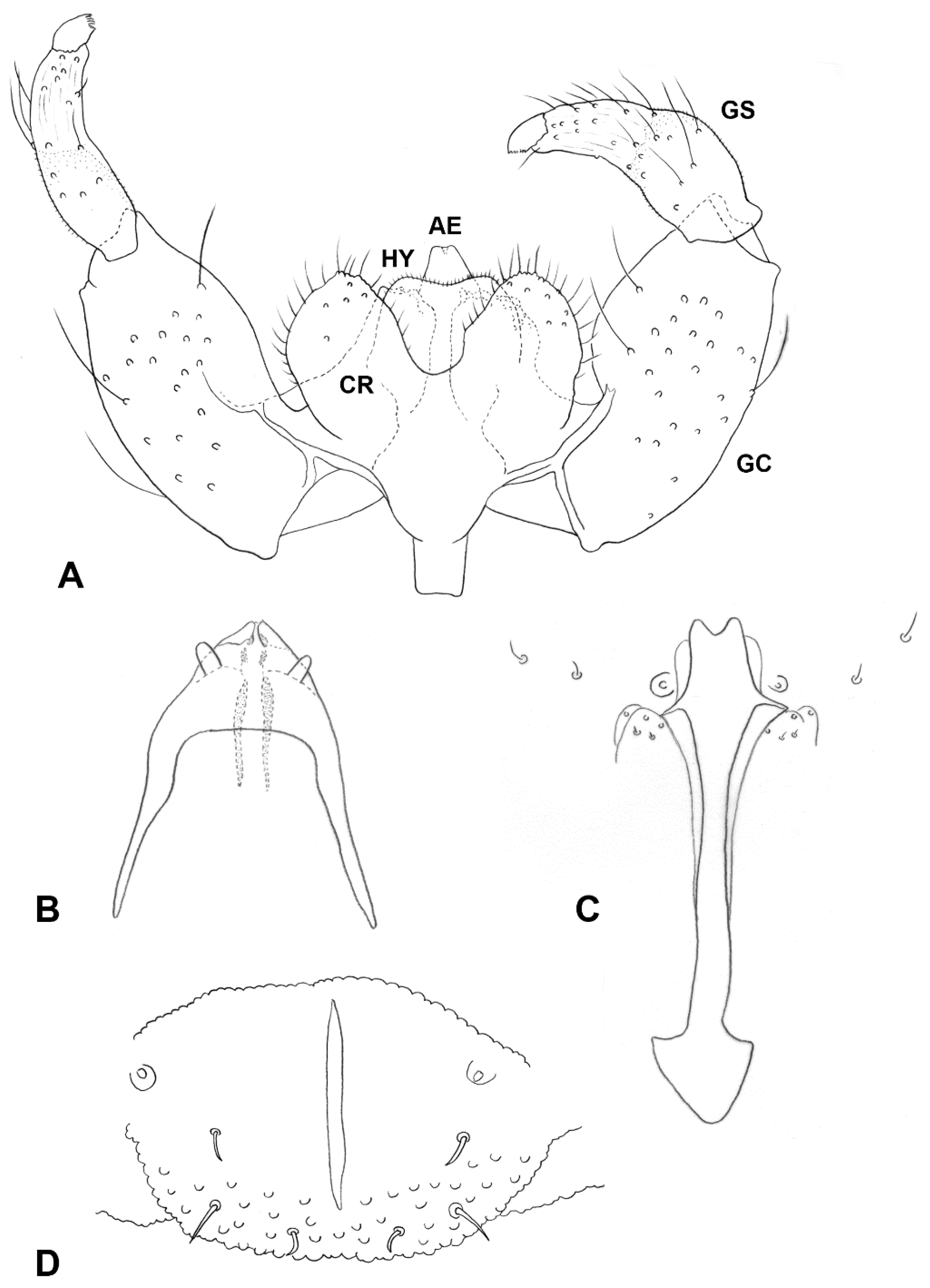 Insects 13 00075 g005