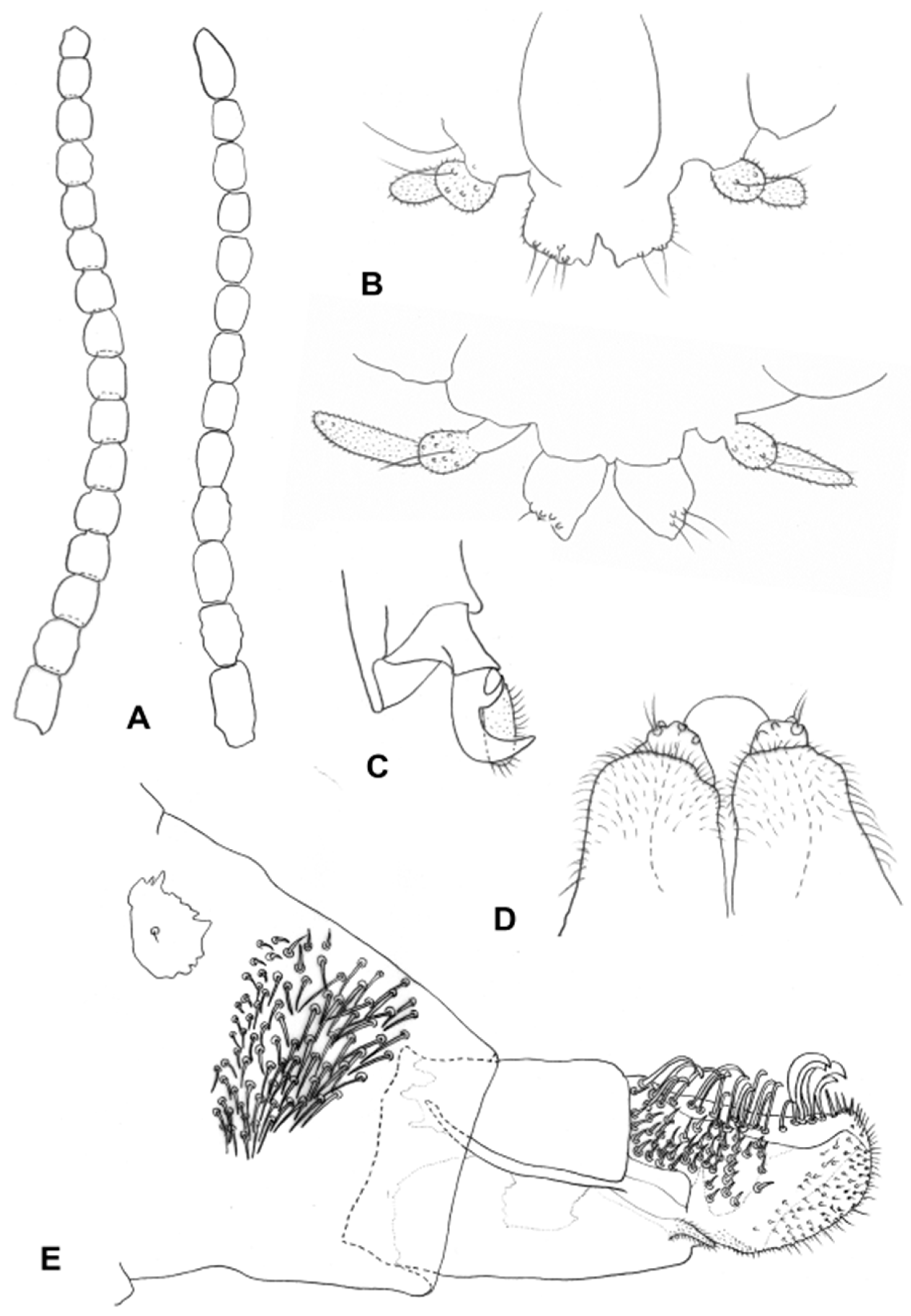 Insects 13 00075 g008