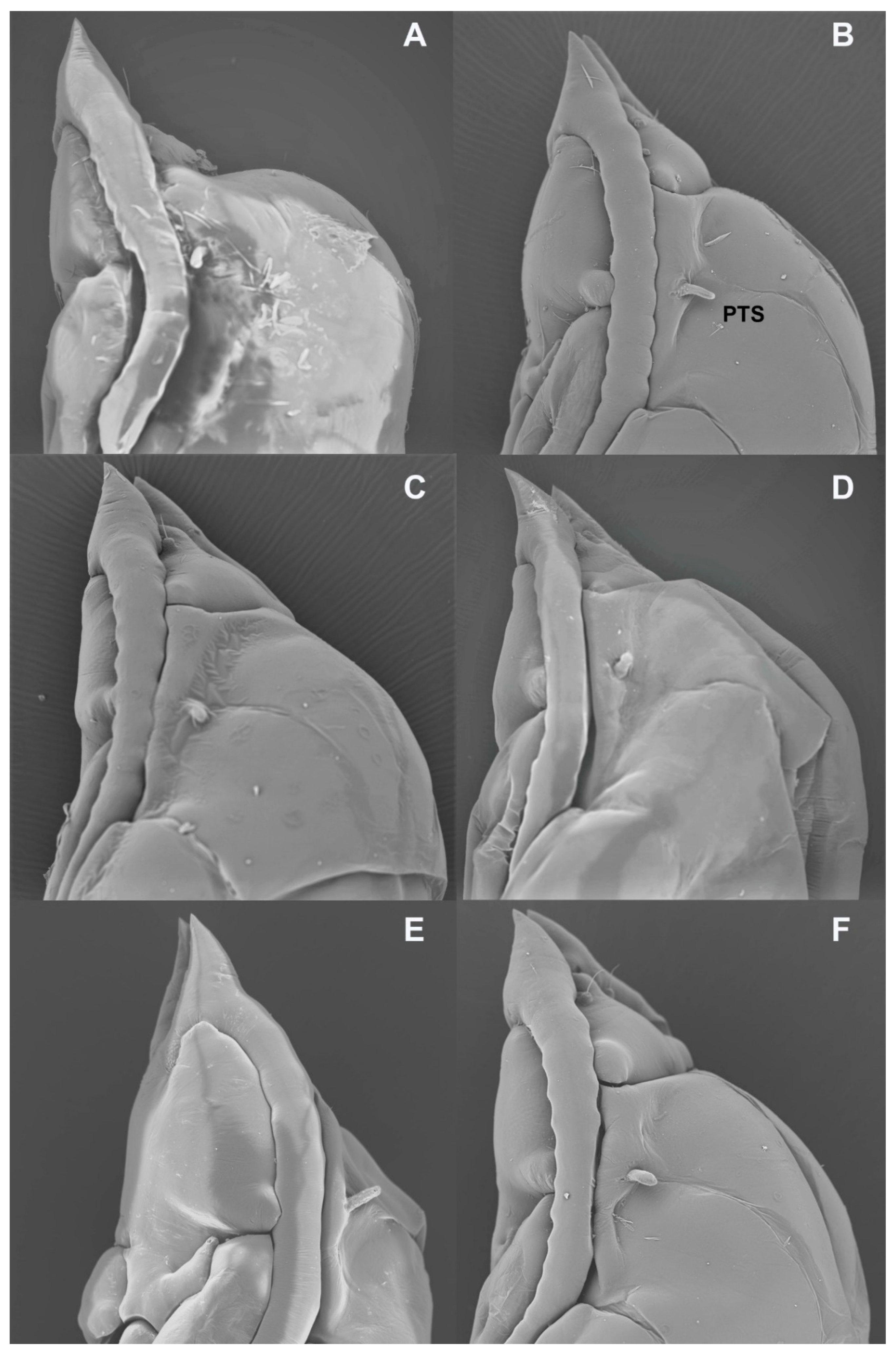 Insects 13 00075 g009
