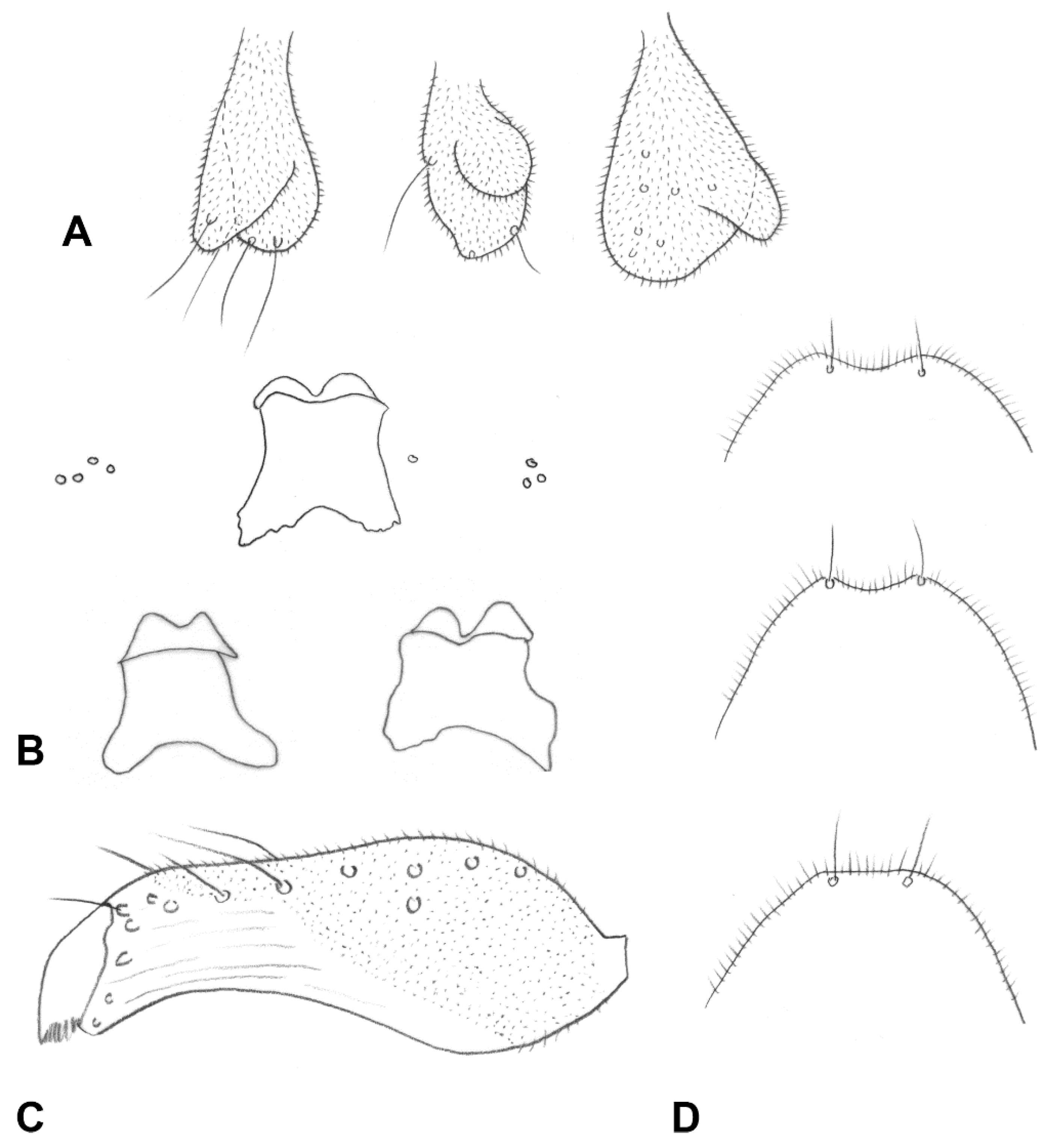 Insects 13 00075 g011