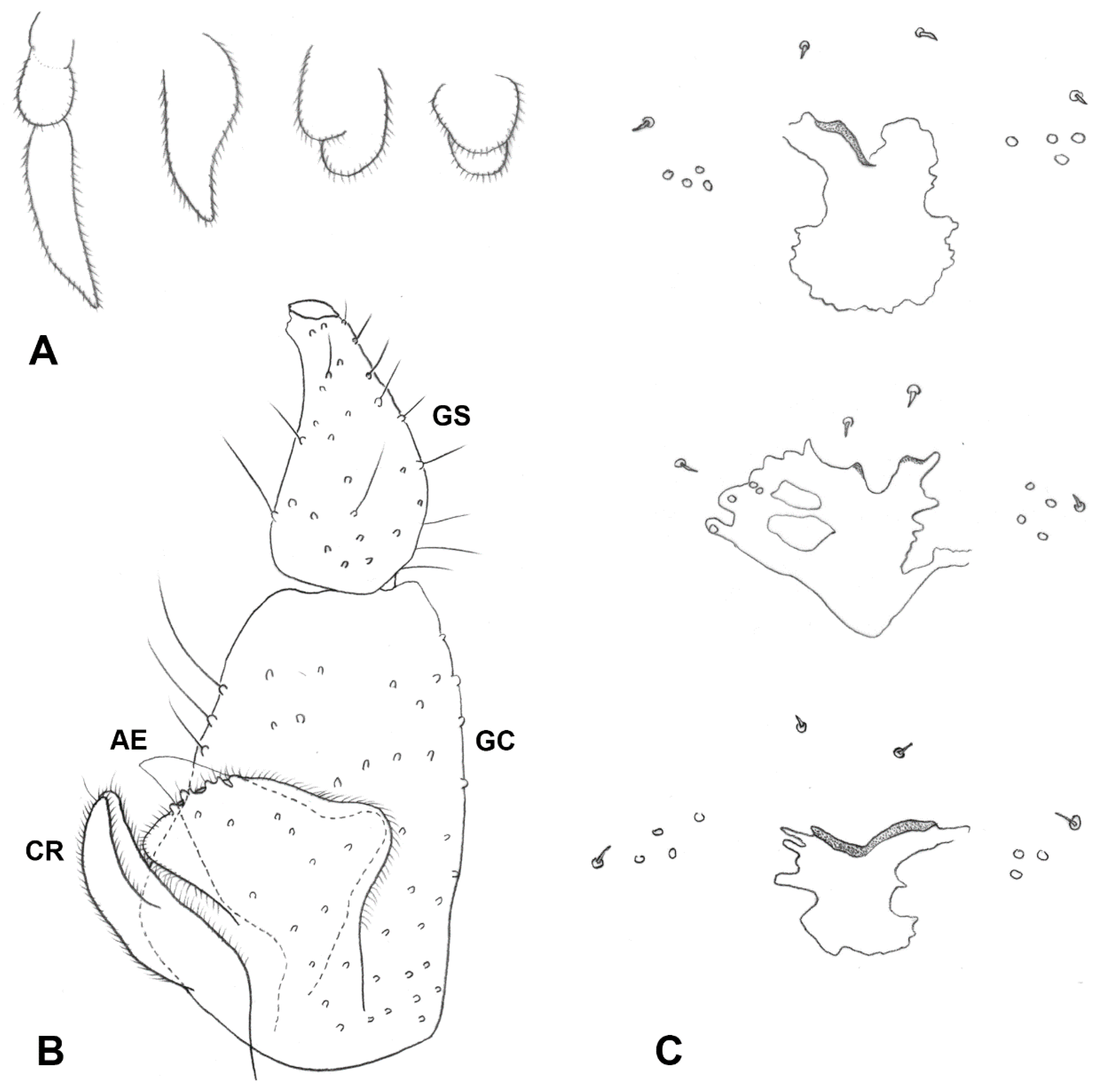 Insects 13 00075 g012
