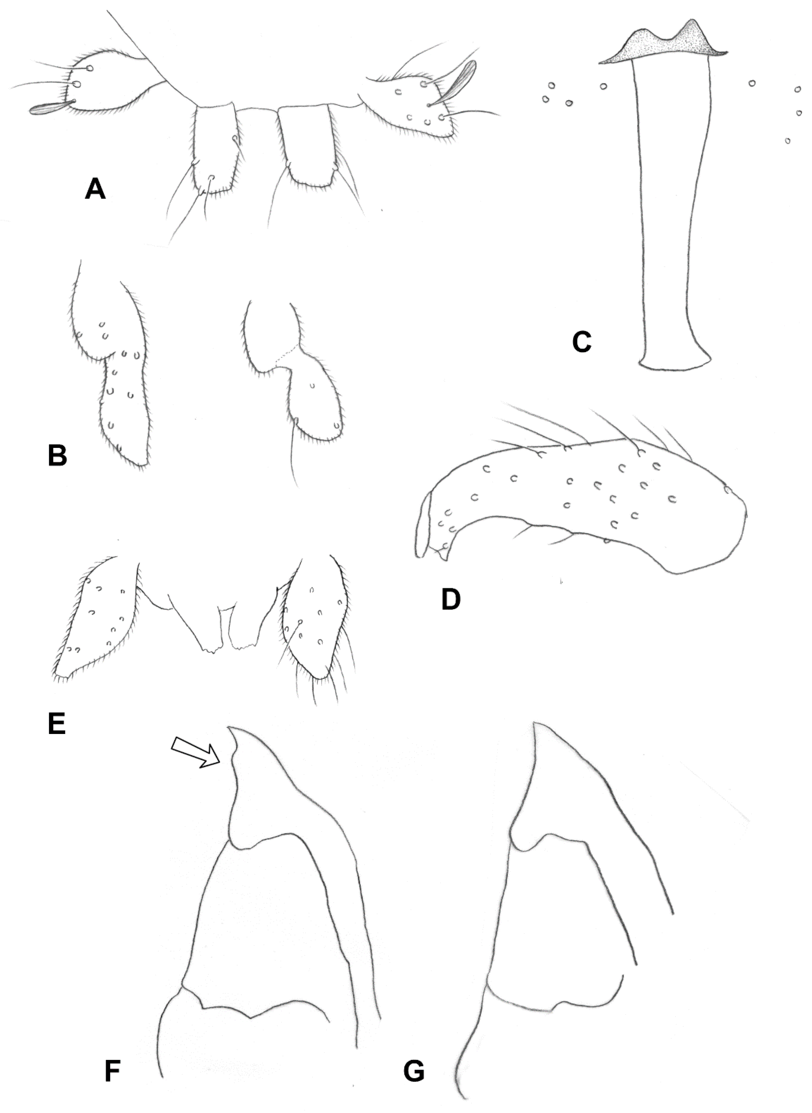 Insects 13 00075 g016