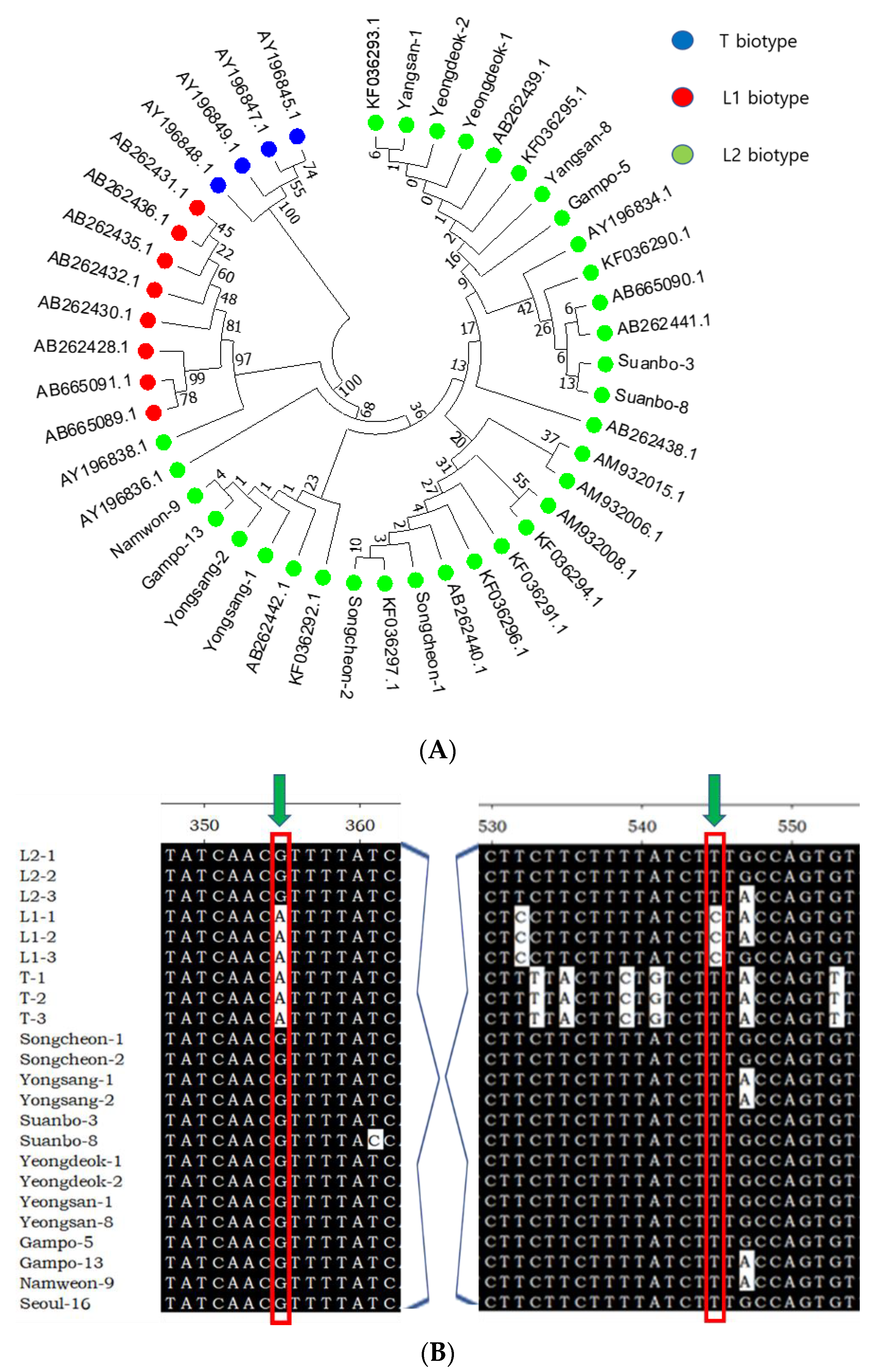 Insects 13 00078 g002