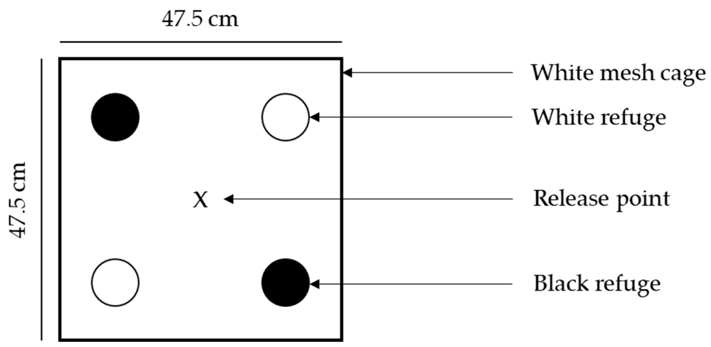Insects 13 00080 g001
