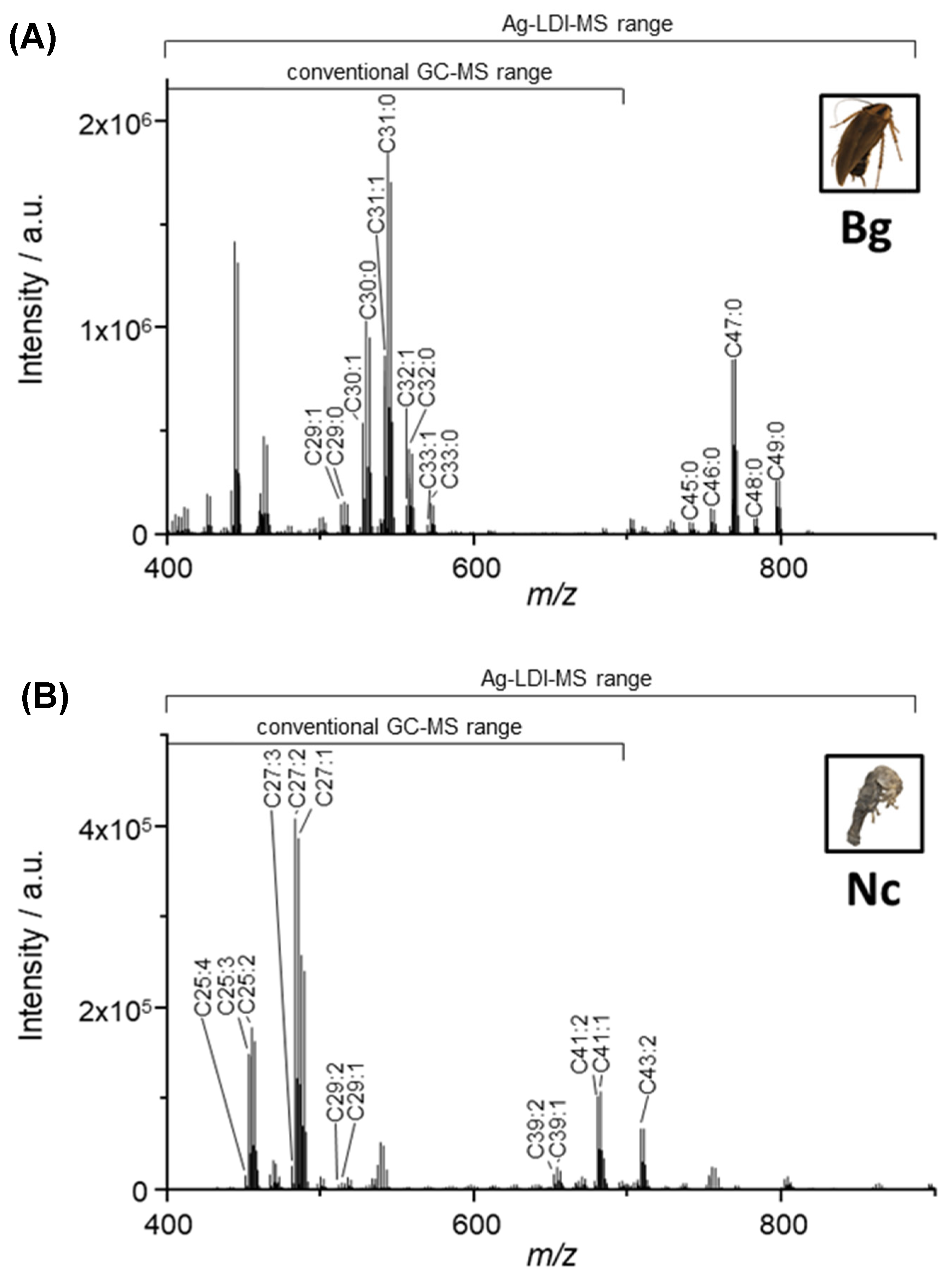 Insects 13 00083 g001