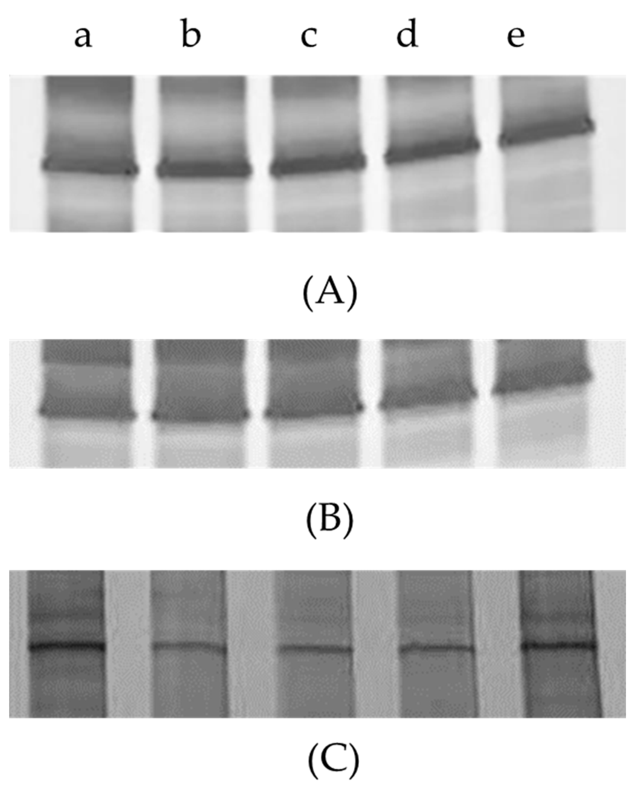 Insects 13 00085 g001