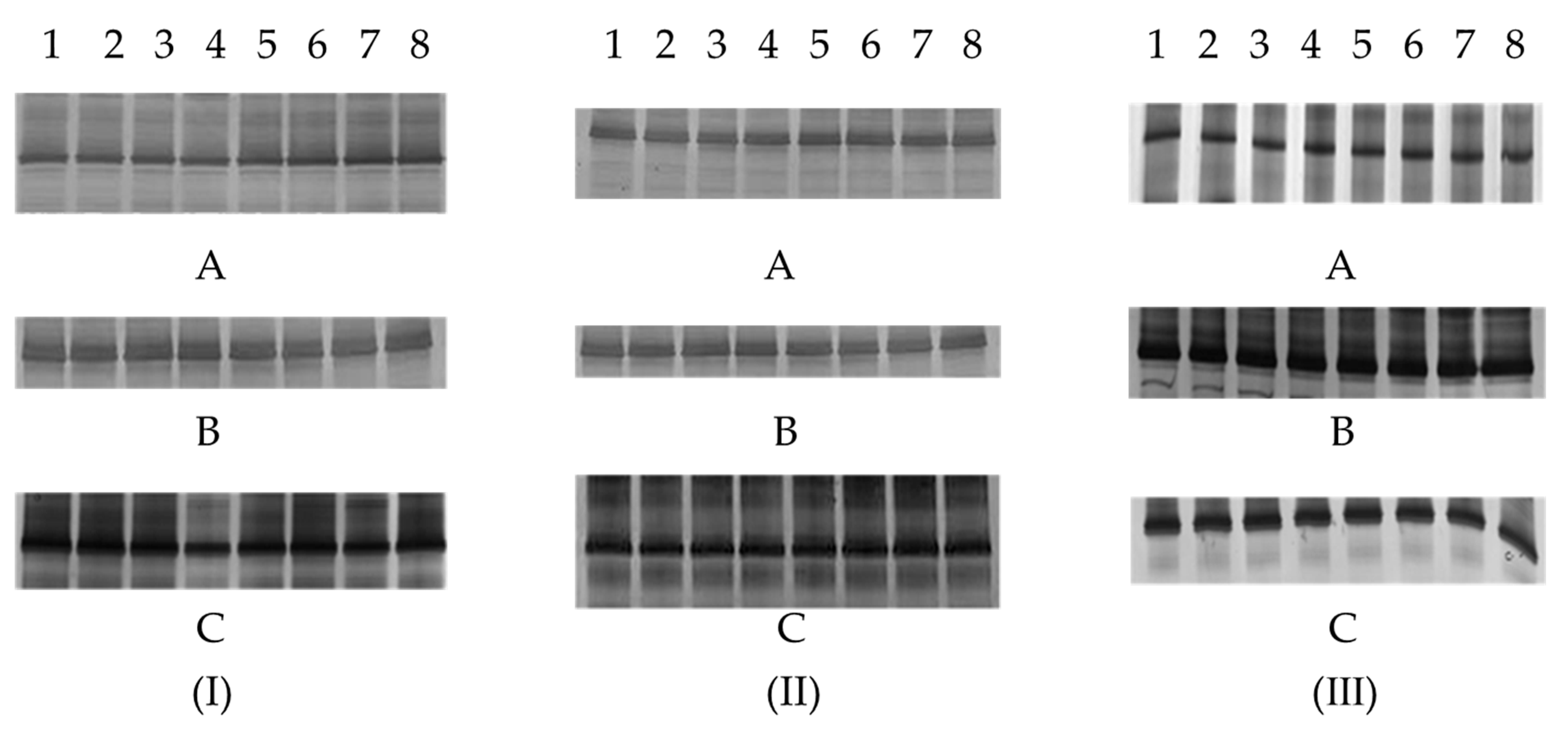 Insects 13 00085 g003