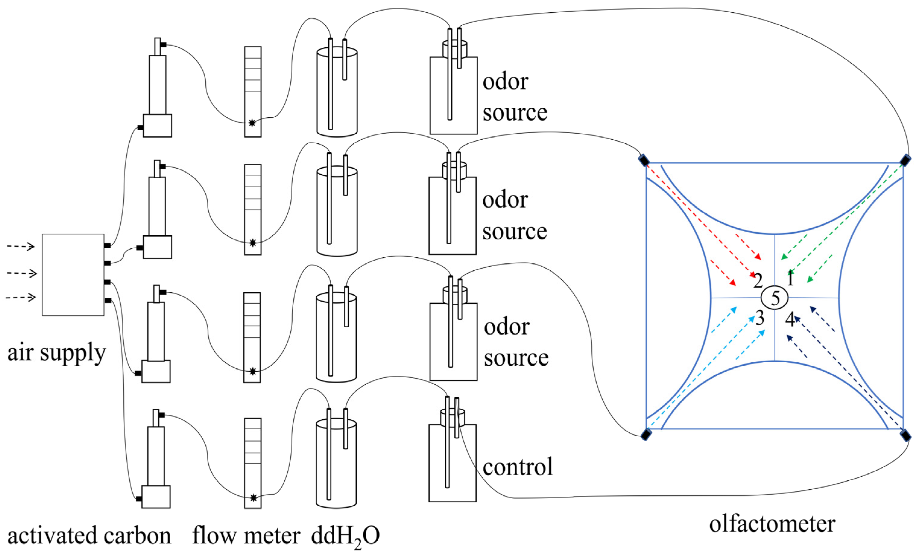 Insects 13 00090 g001