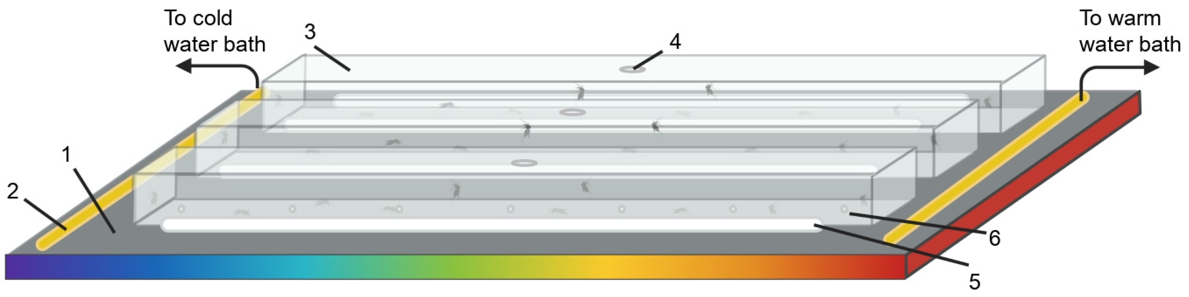 Insects 13 00092 g001