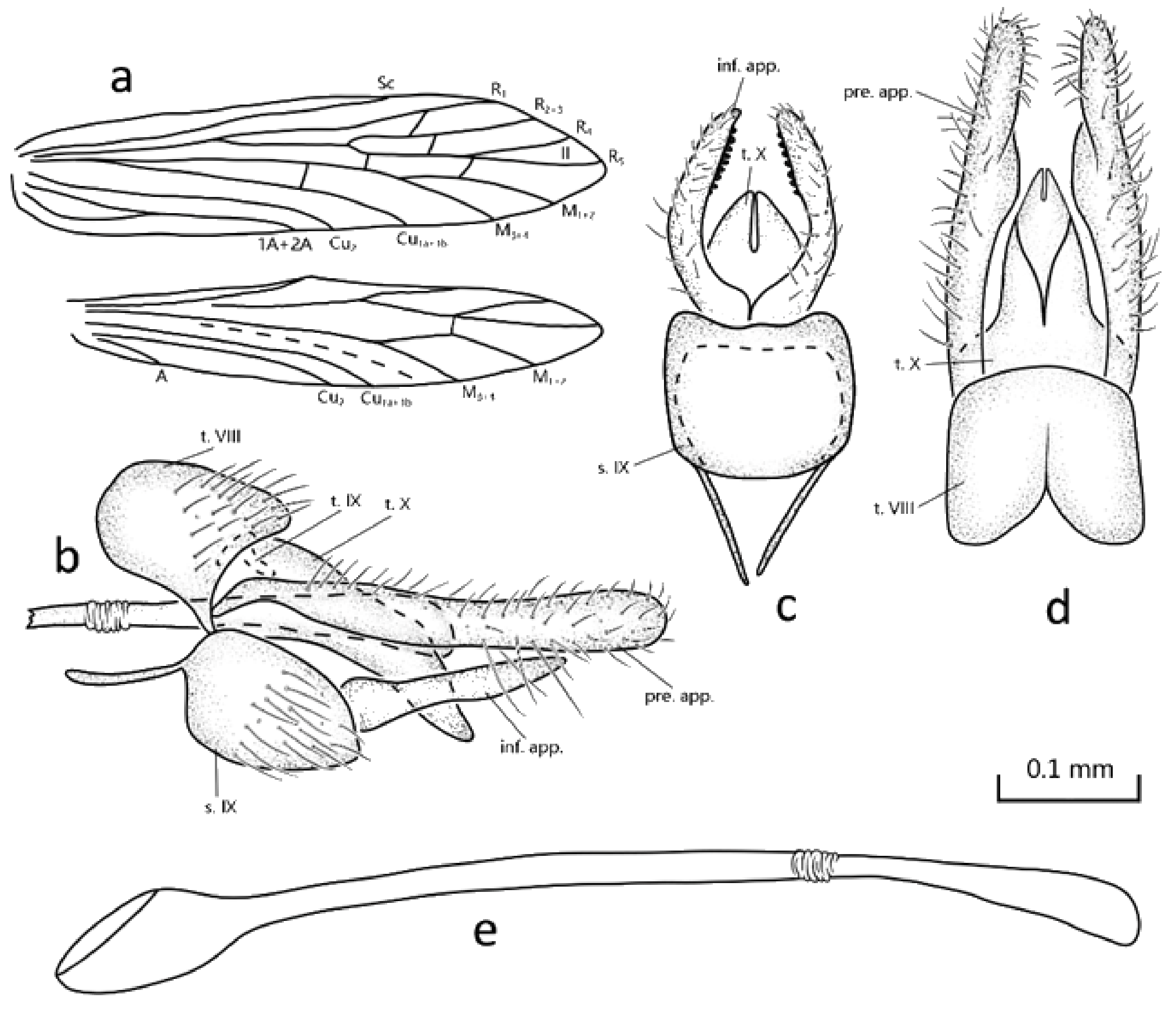 Insects 13 00095 g001