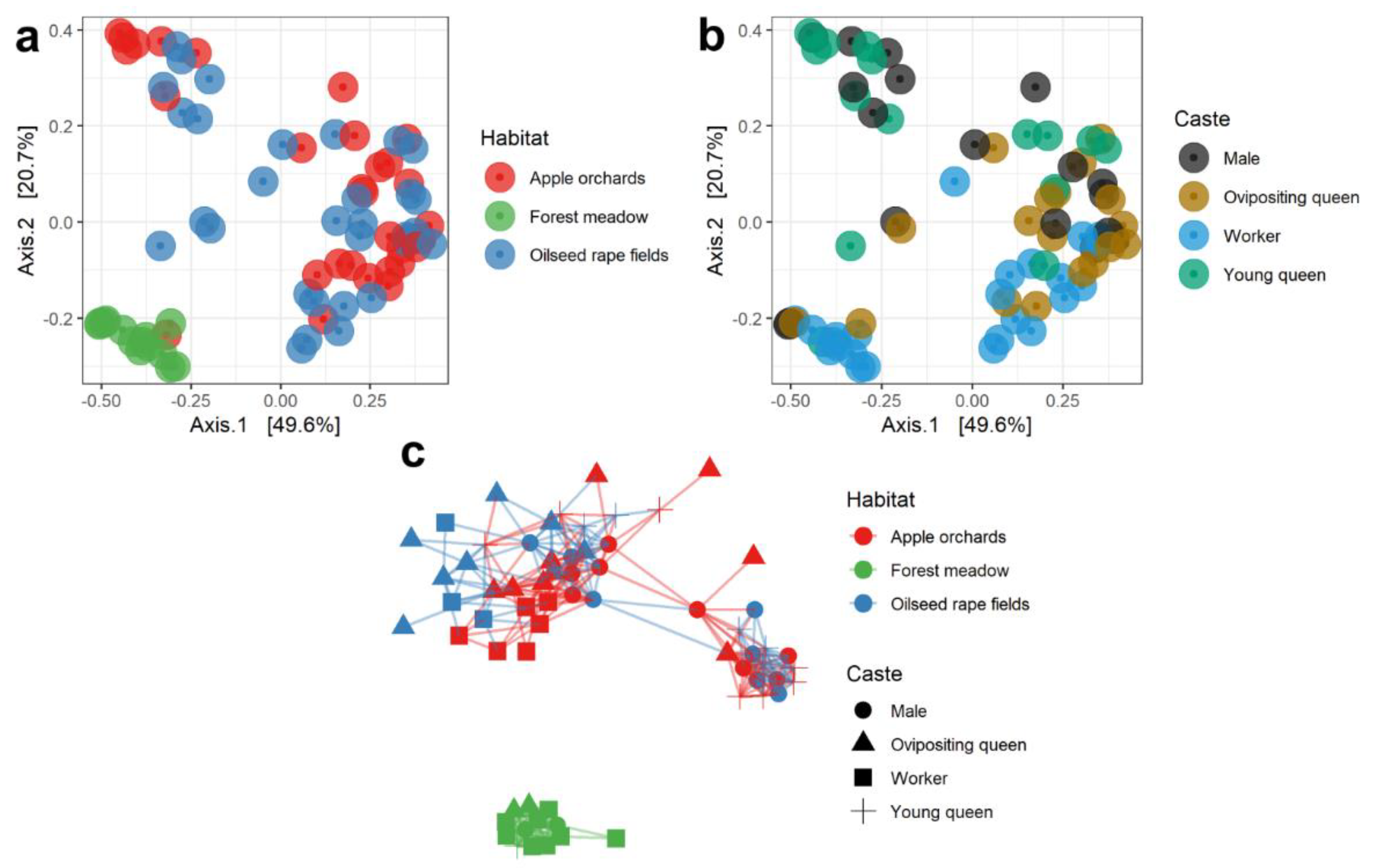 Insects 13 00098 g003