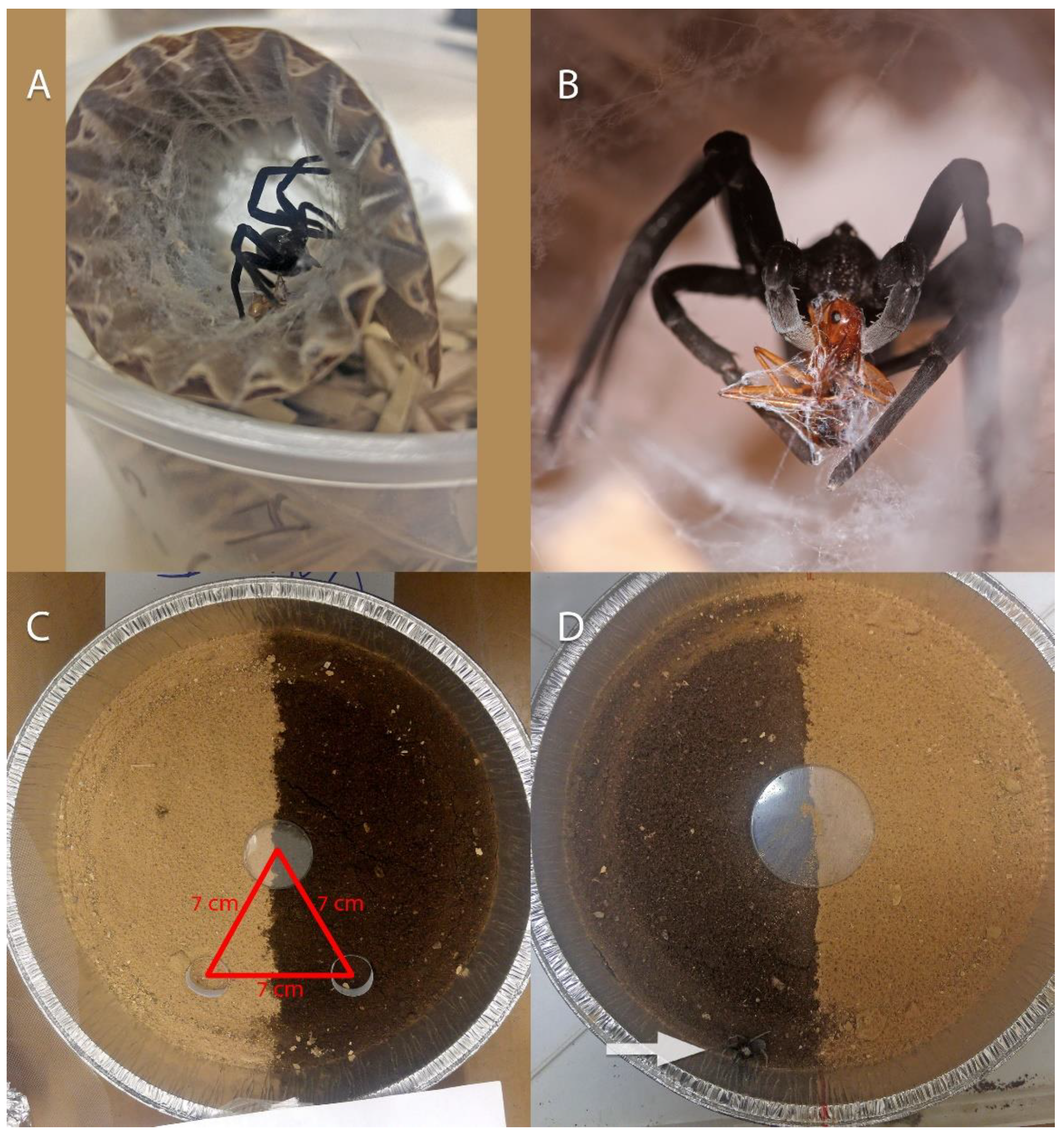 Insects 13 00101 g006 Insects 13 00101 g006