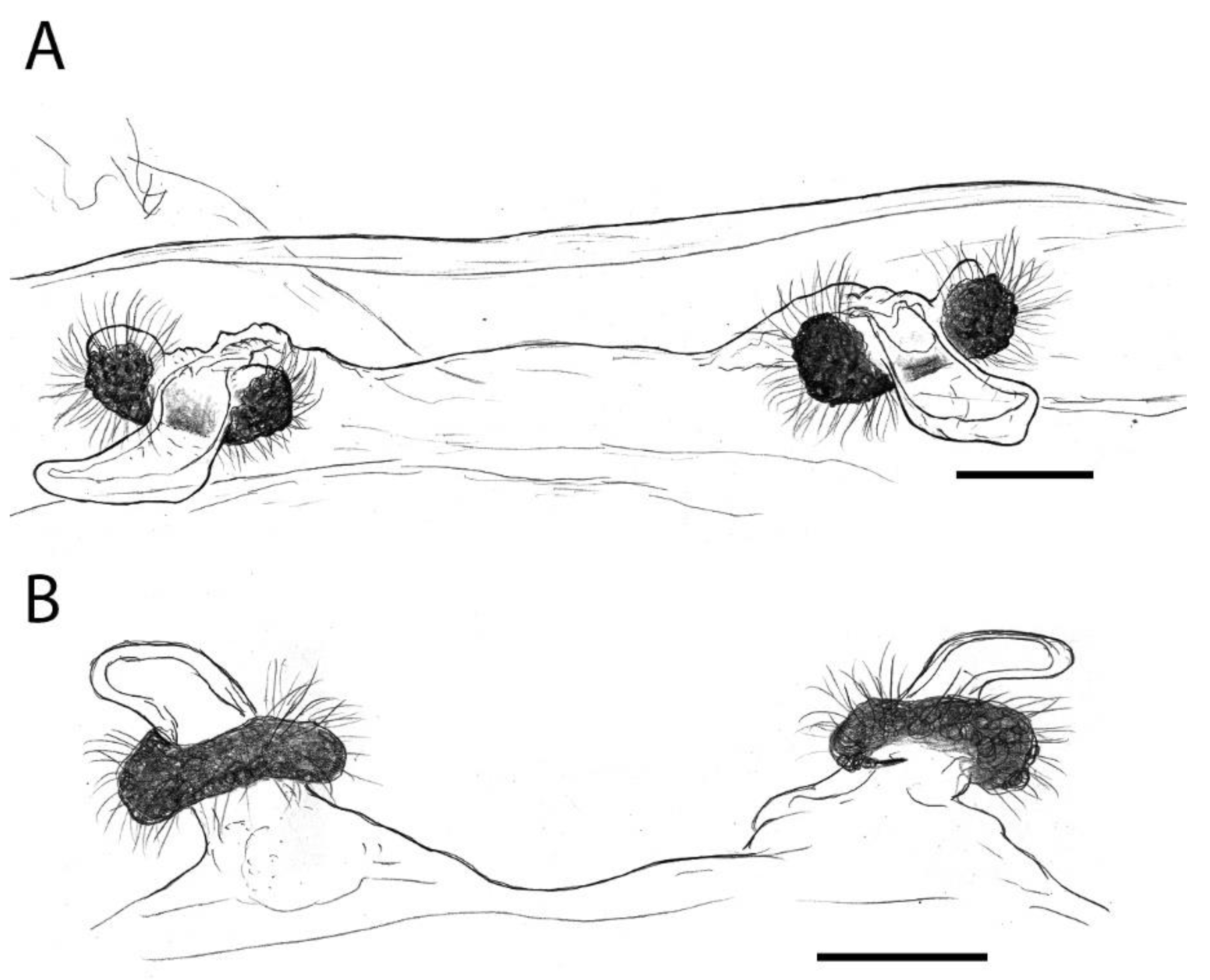 Insects 13 00101 g009 Insects 13 00101 g009