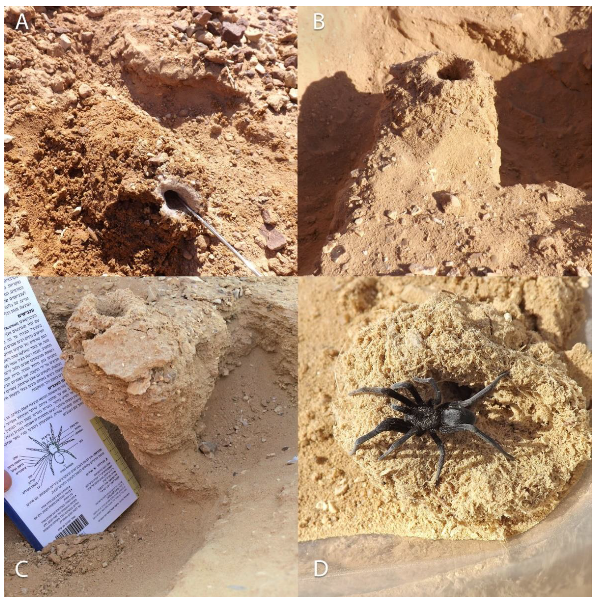 Insects 13 00101 g013 Insects 13 00101 g013