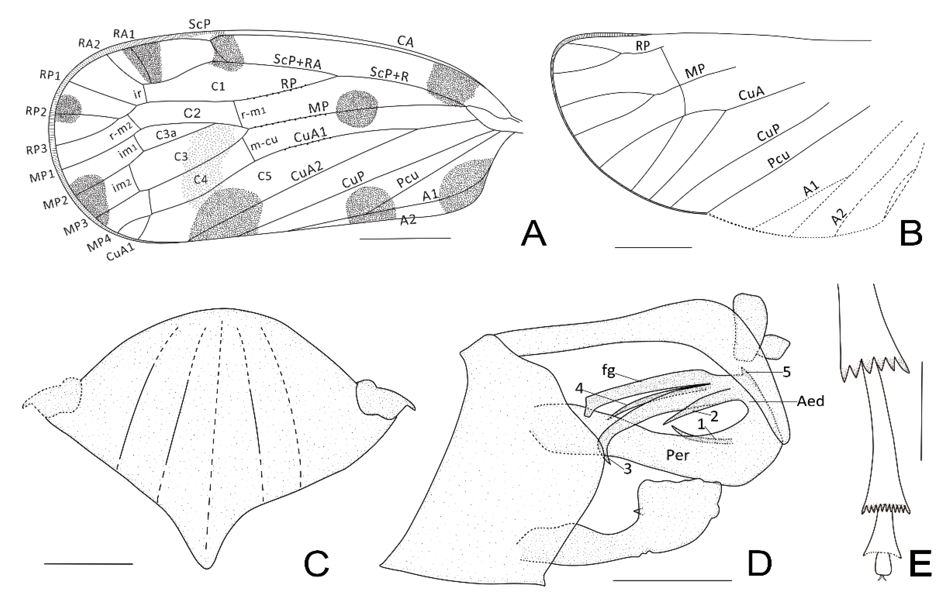 Insects 13 00102 g003