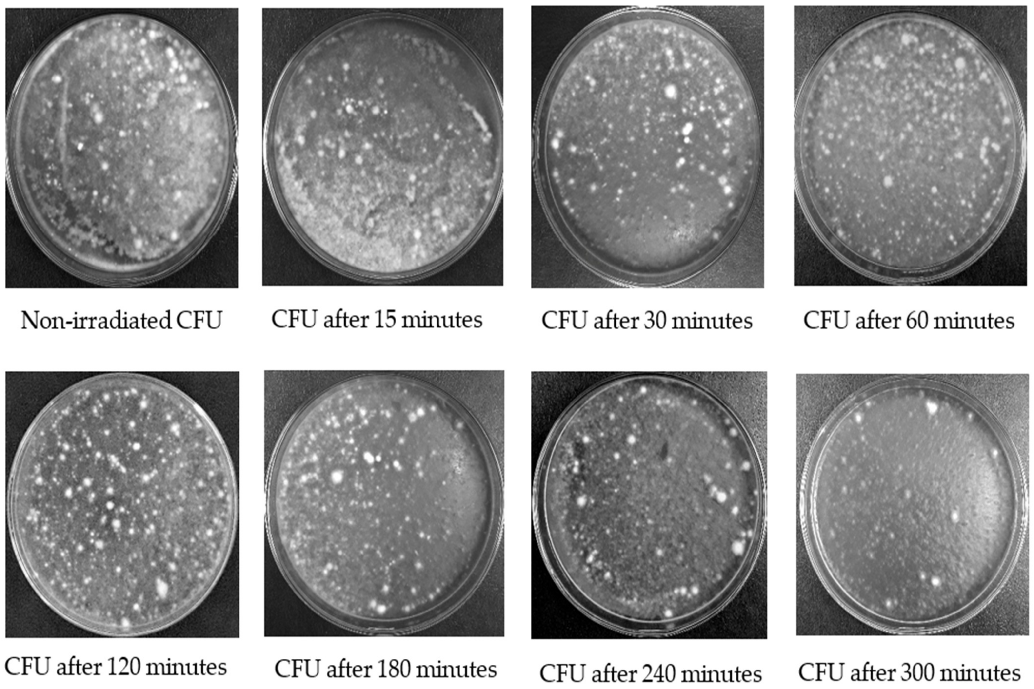 Insects 13 00103 g001