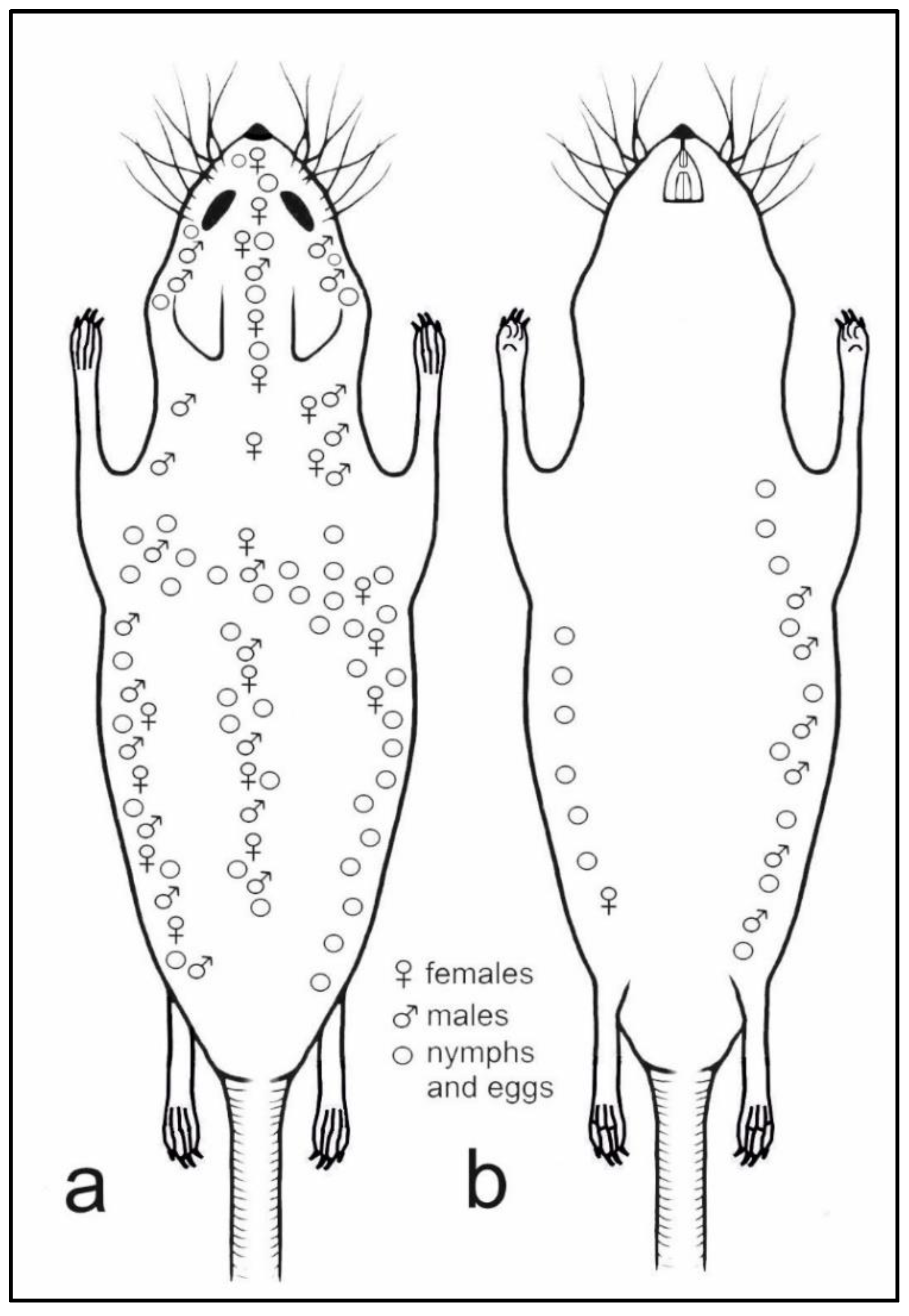 Insects 13 00107 g006
