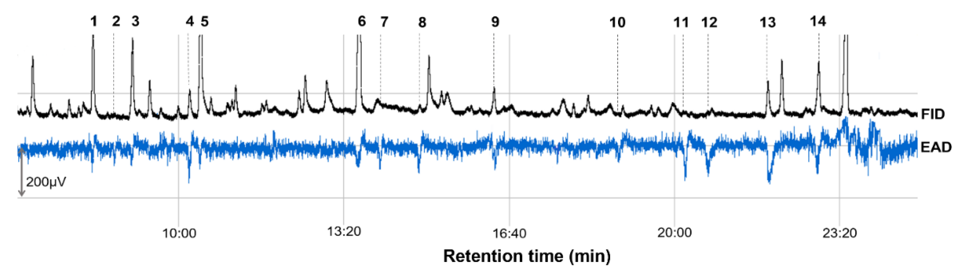 Insects 13 00114 g001