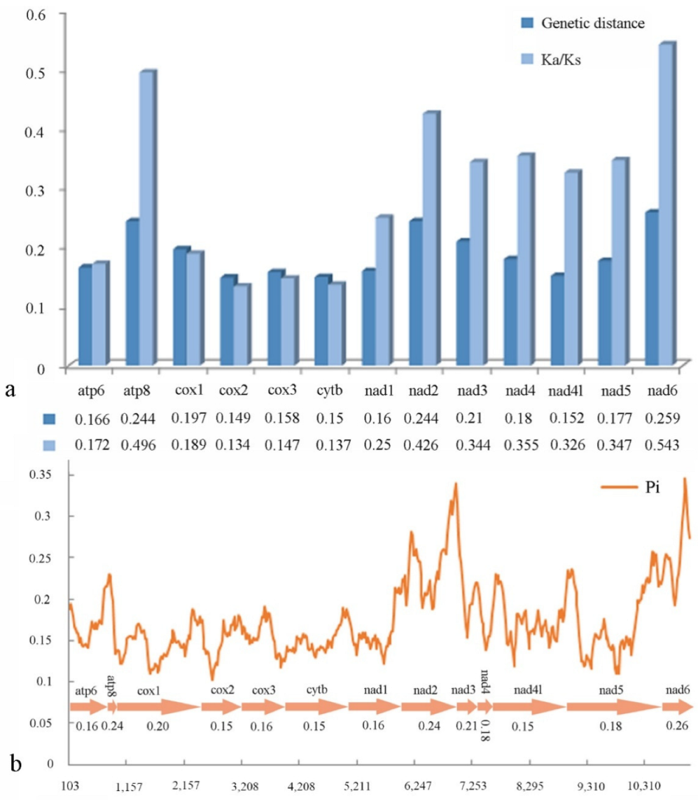 Insects 13 00118 g005