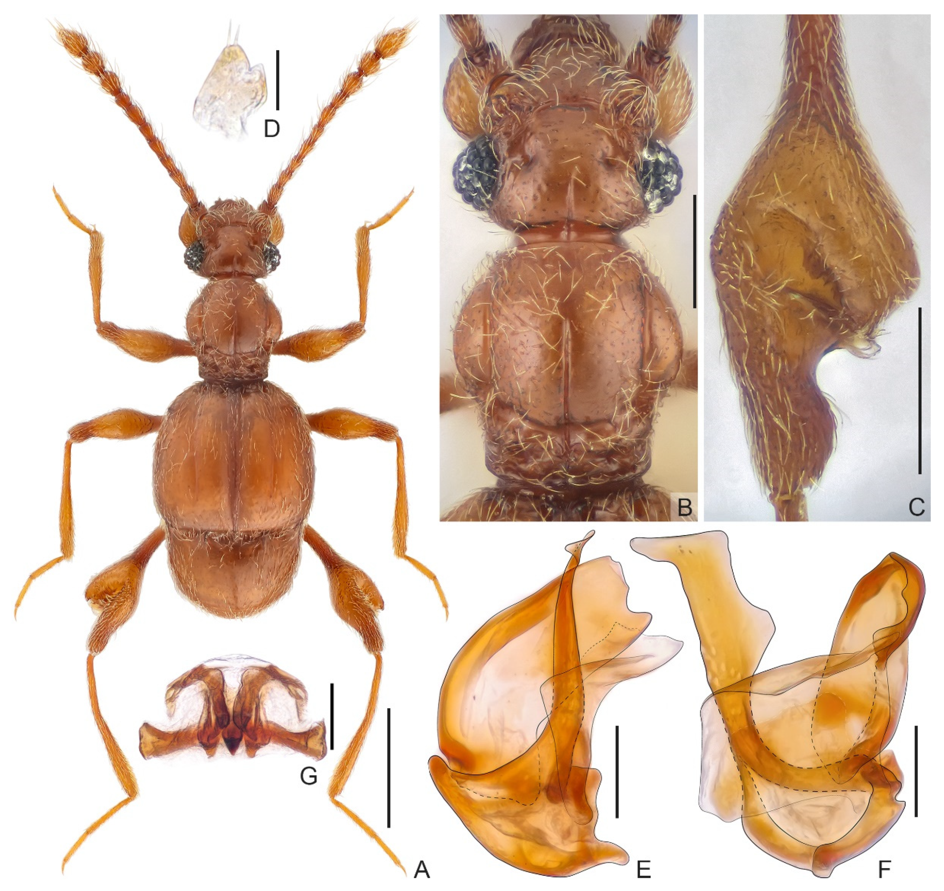 Insects 13 00119 g002