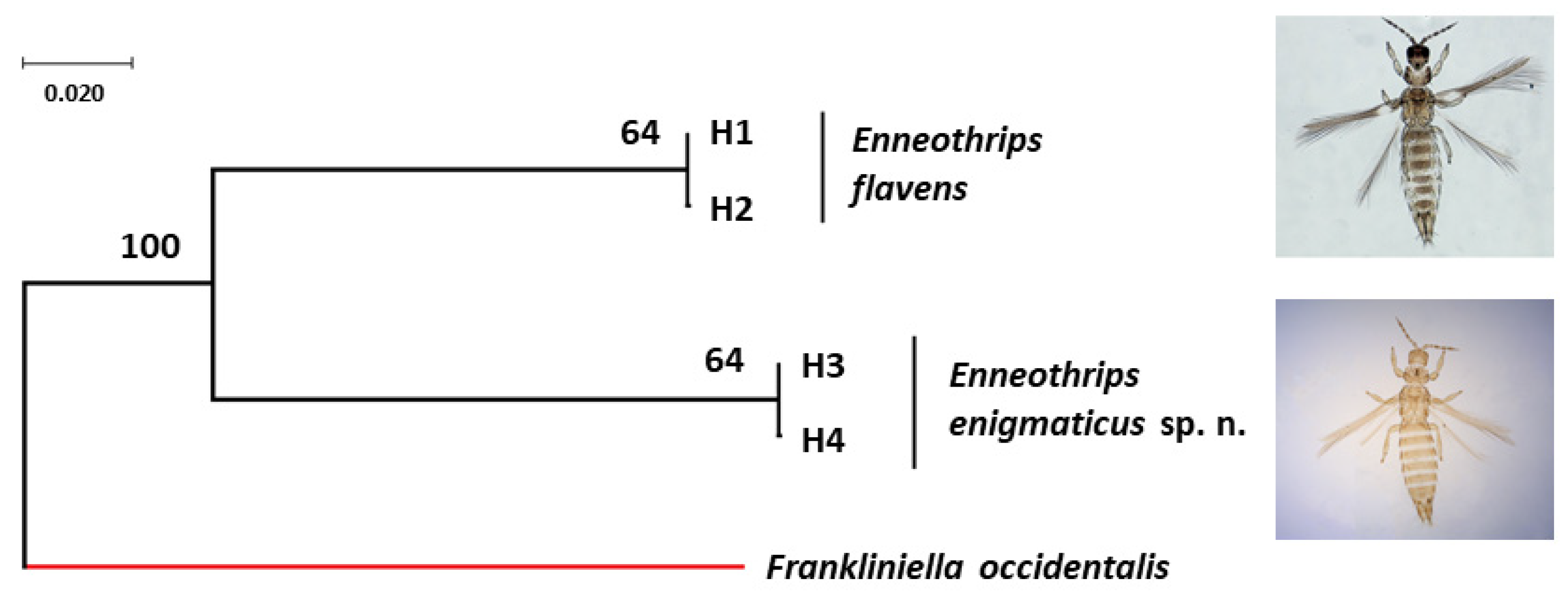 Insects 13 00120 g005