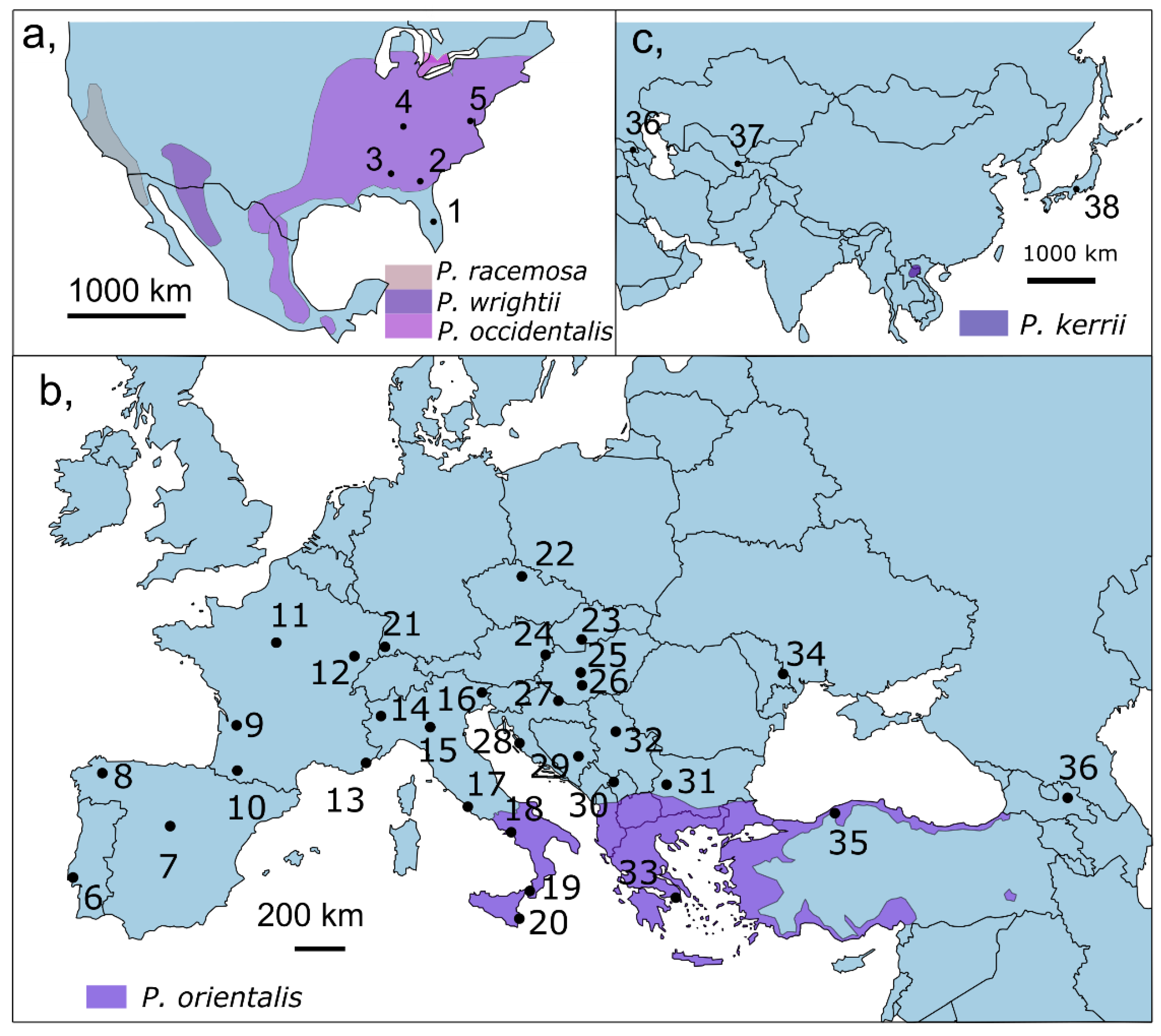 Insects 13 00123 g001