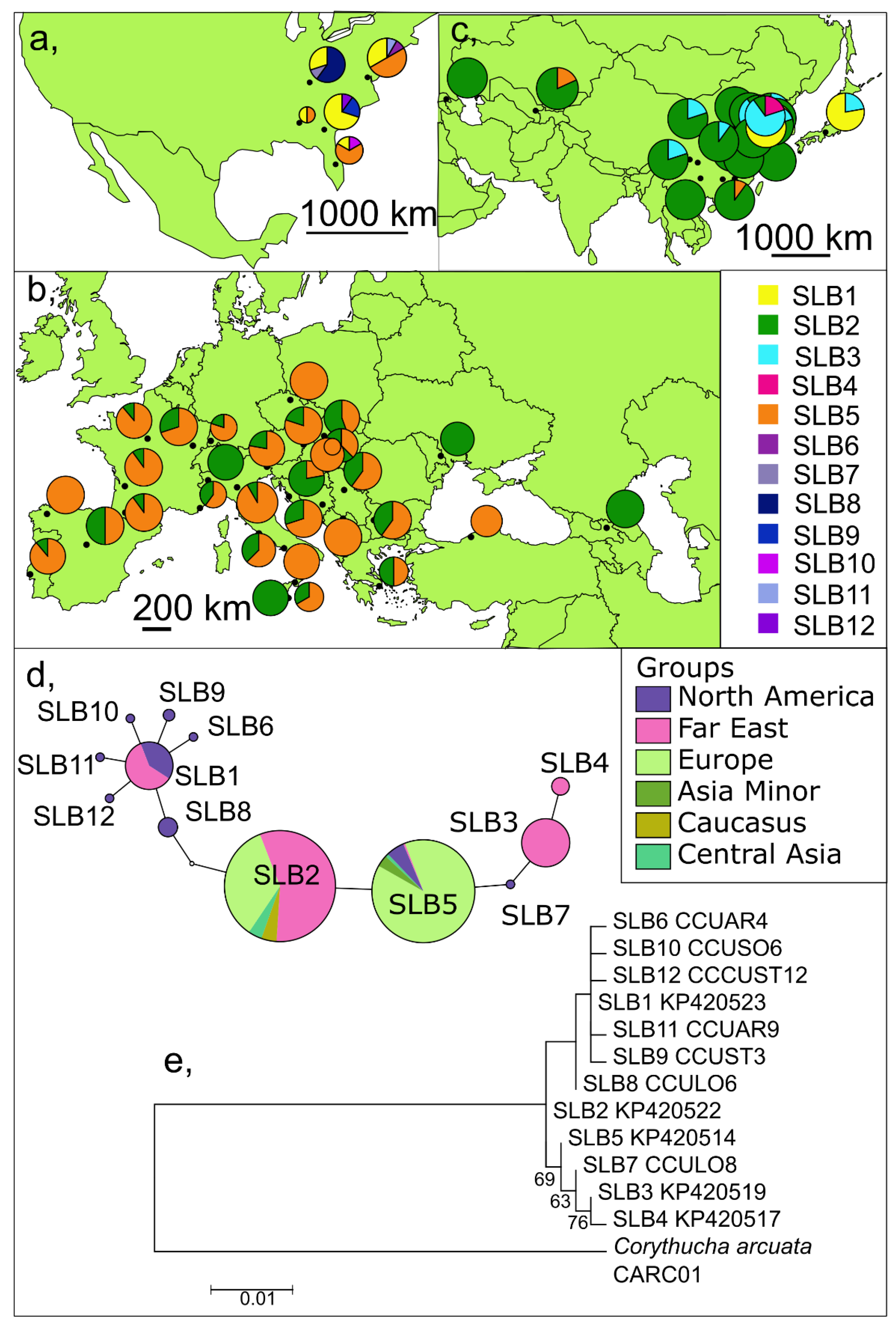 Insects 13 00123 g003