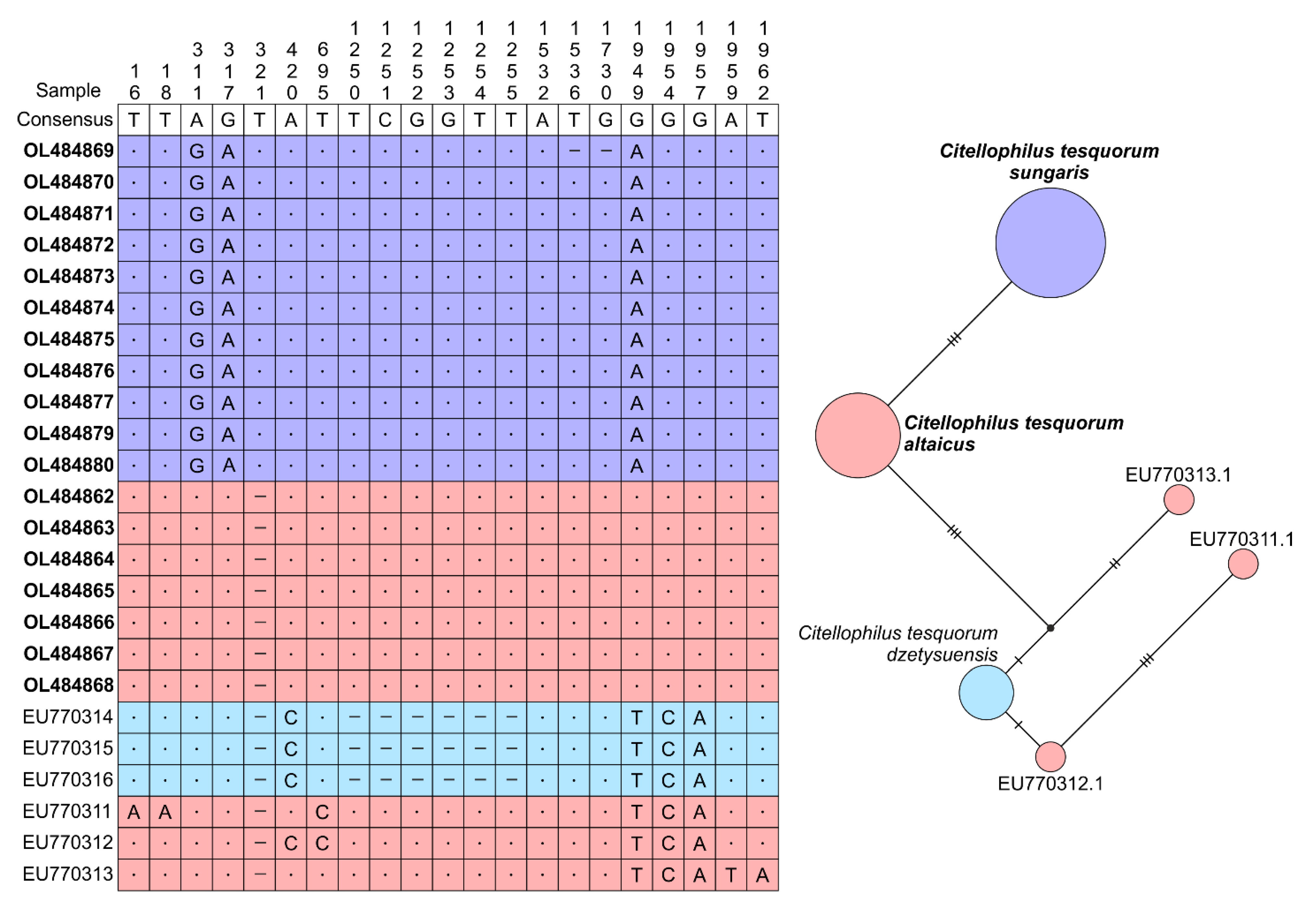Insects 13 00126 g004