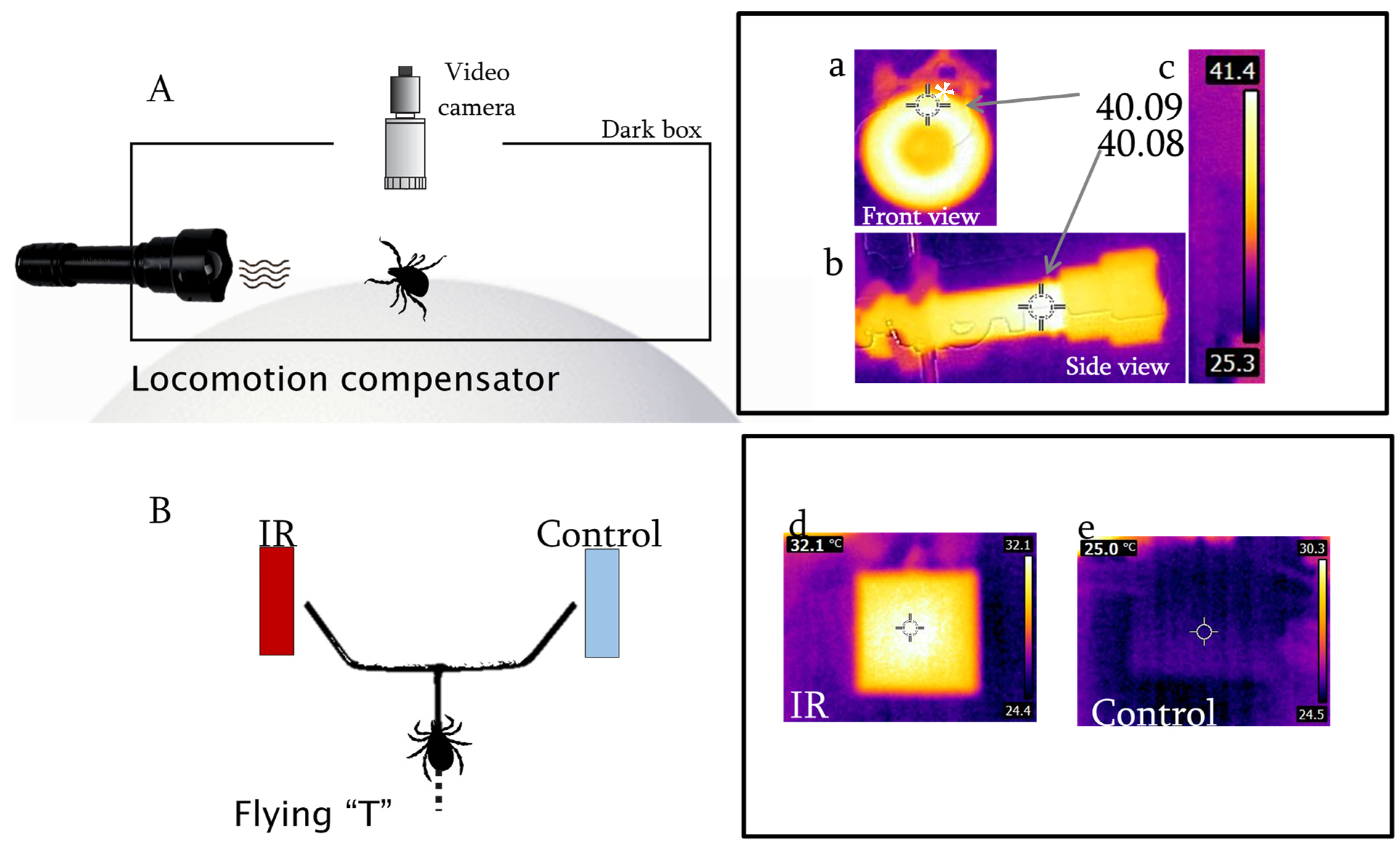 Insects 13 00130 g001