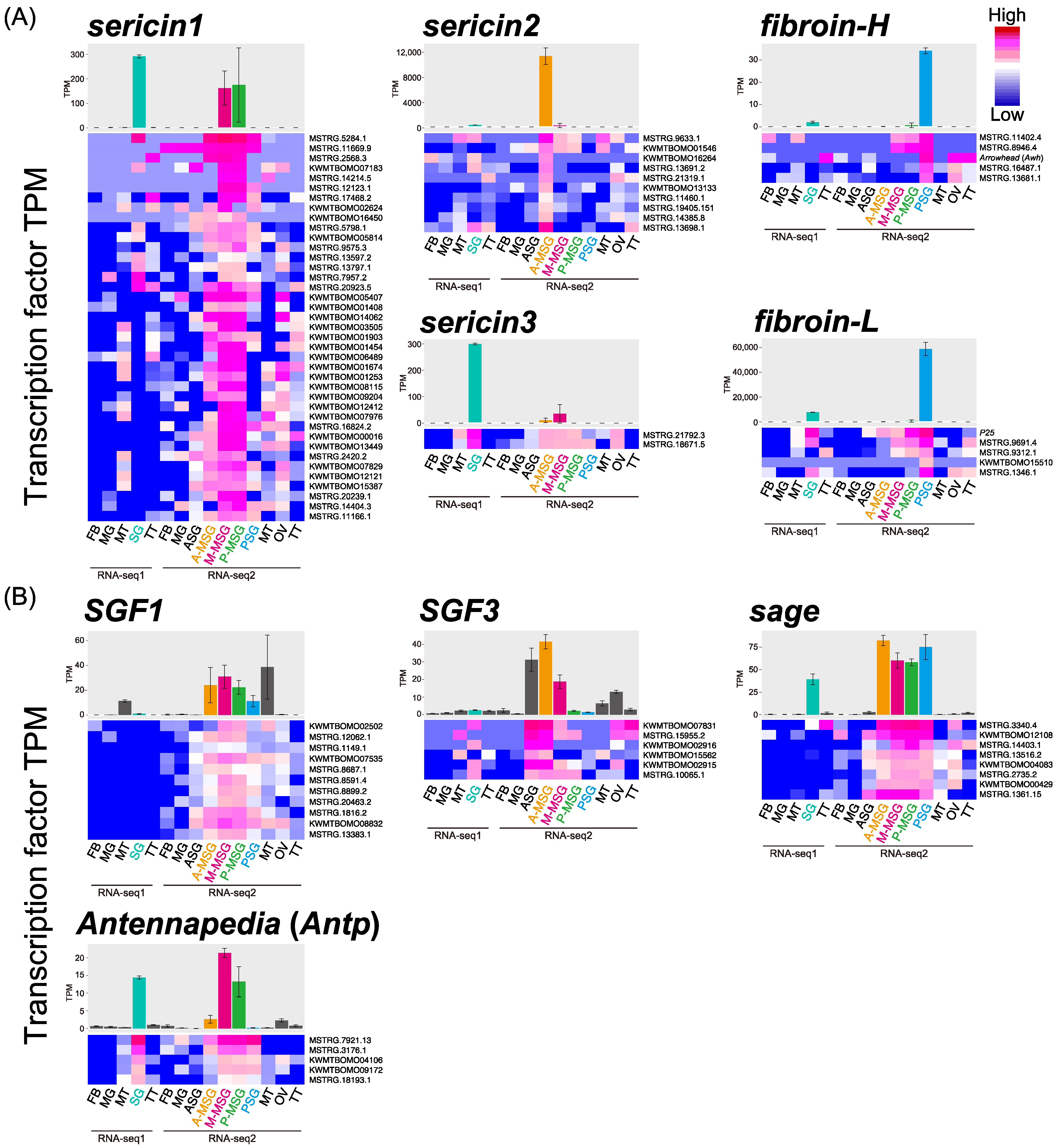 Insects 13 00131 g001