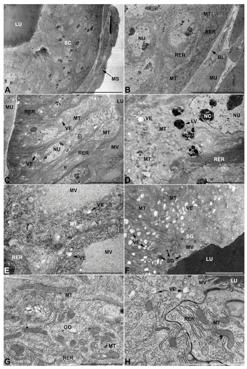 Insects 13 00132 g003