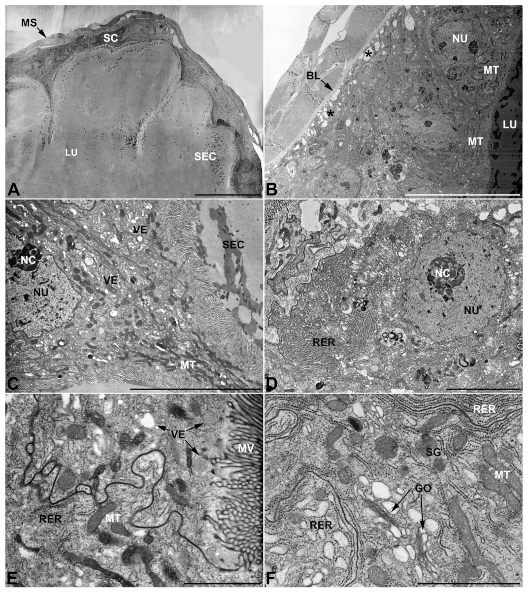 Insects 13 00132 g004