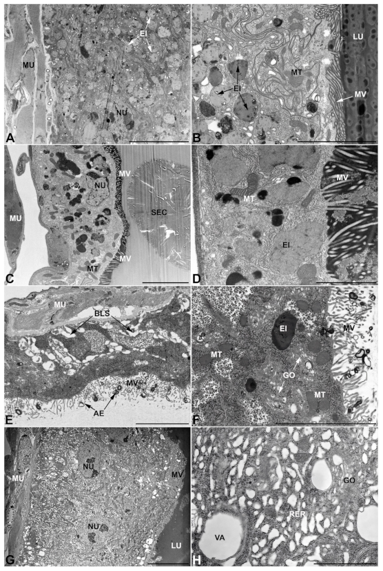 Insects 13 00132 g010