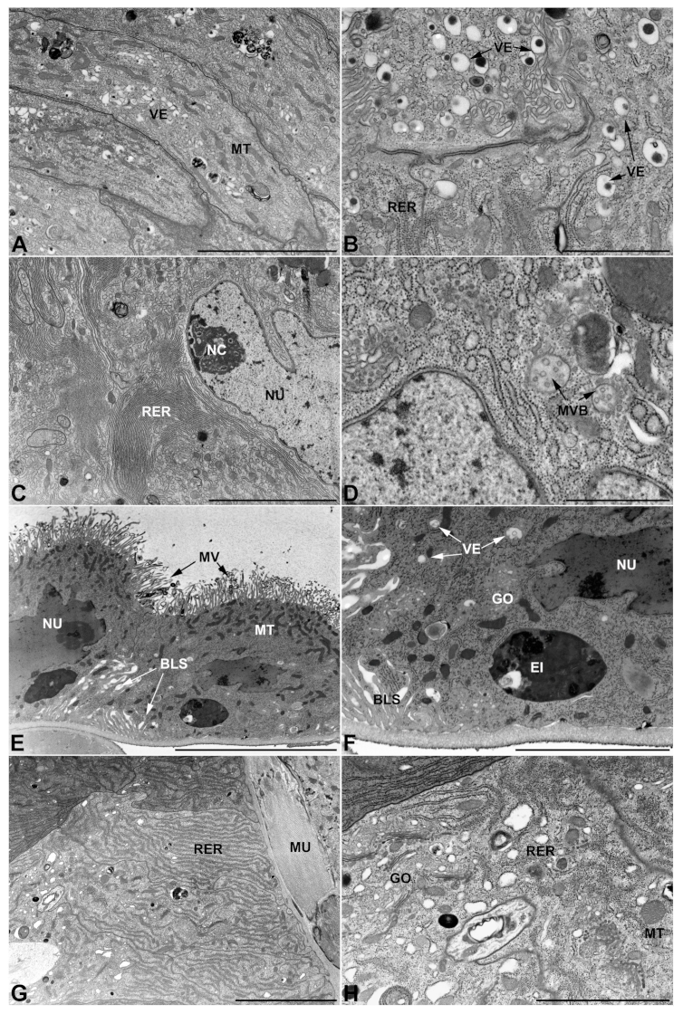 Insects 13 00132 g012