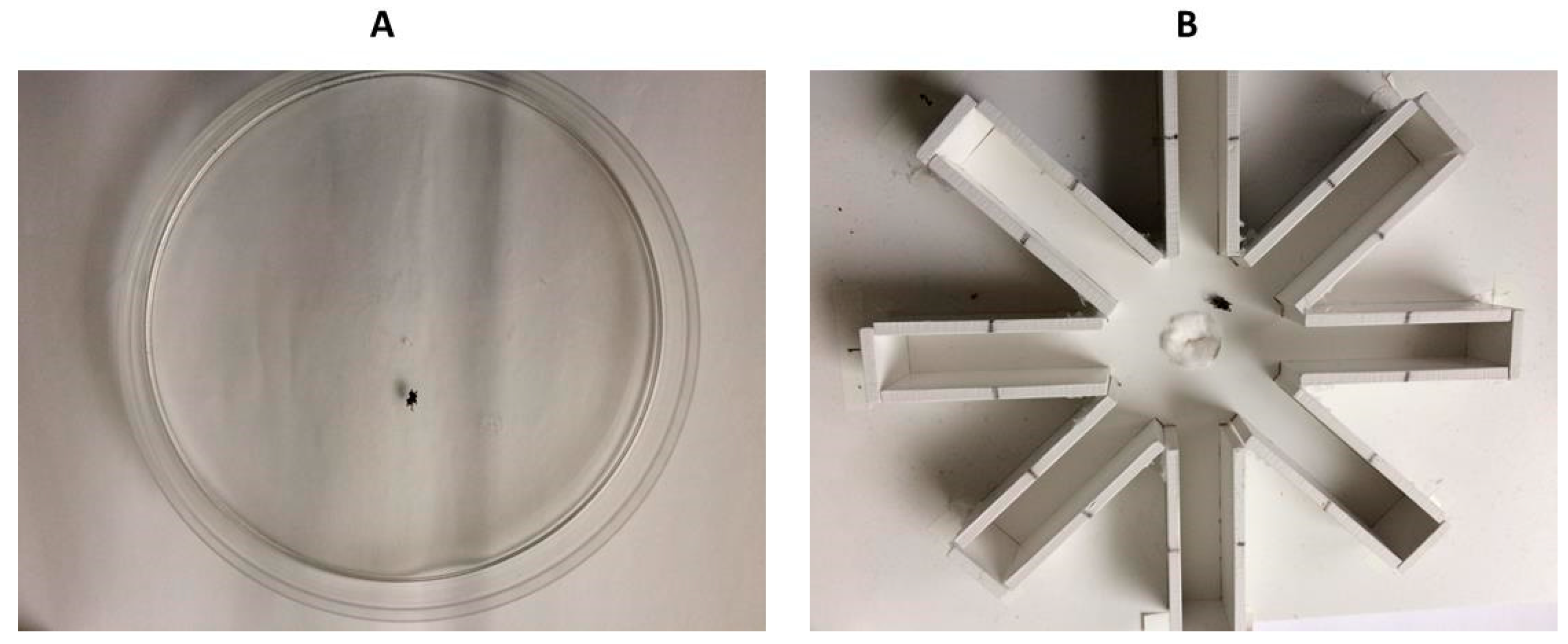 Insects 13 00135 g002