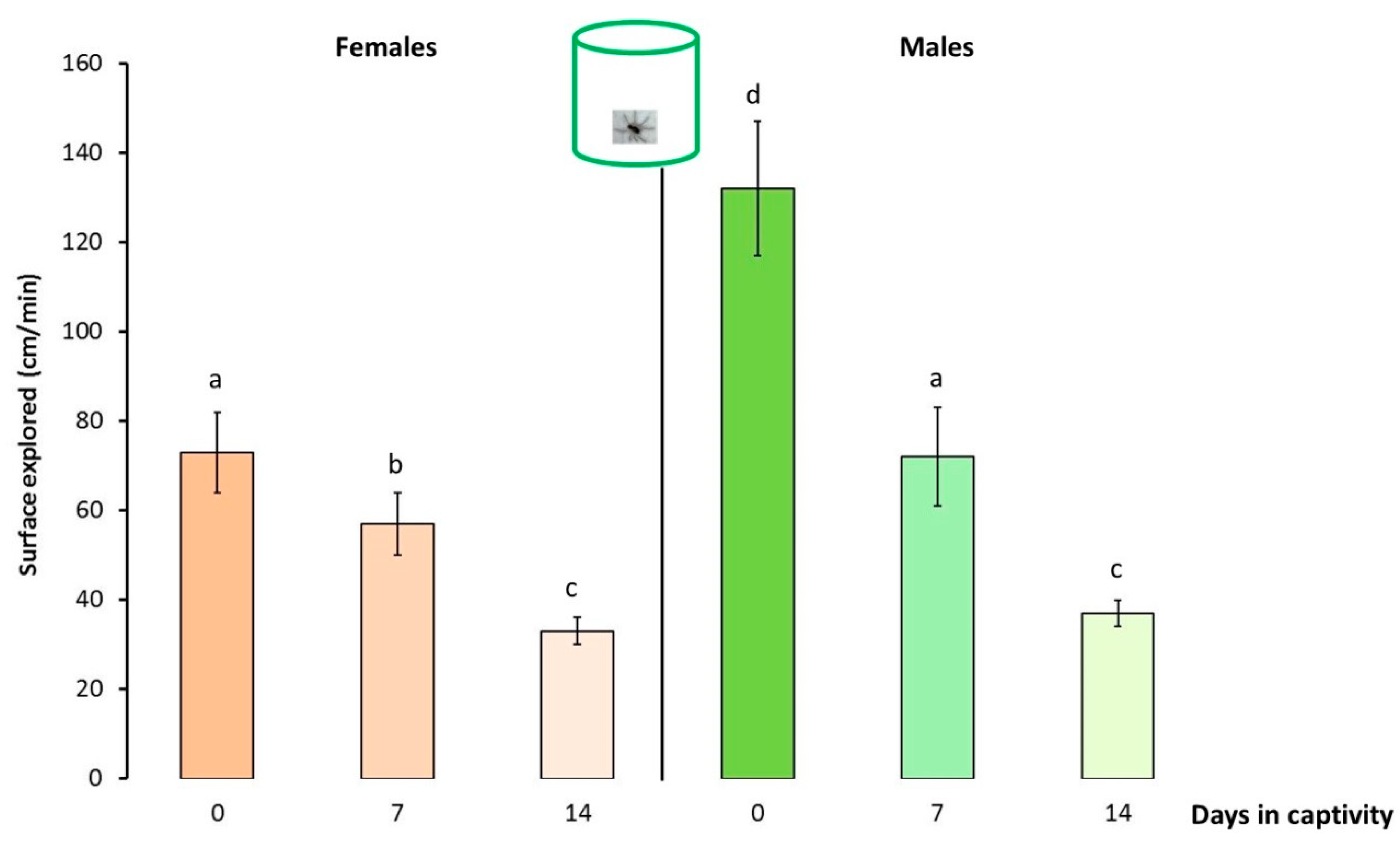 Insects 13 00135 g004