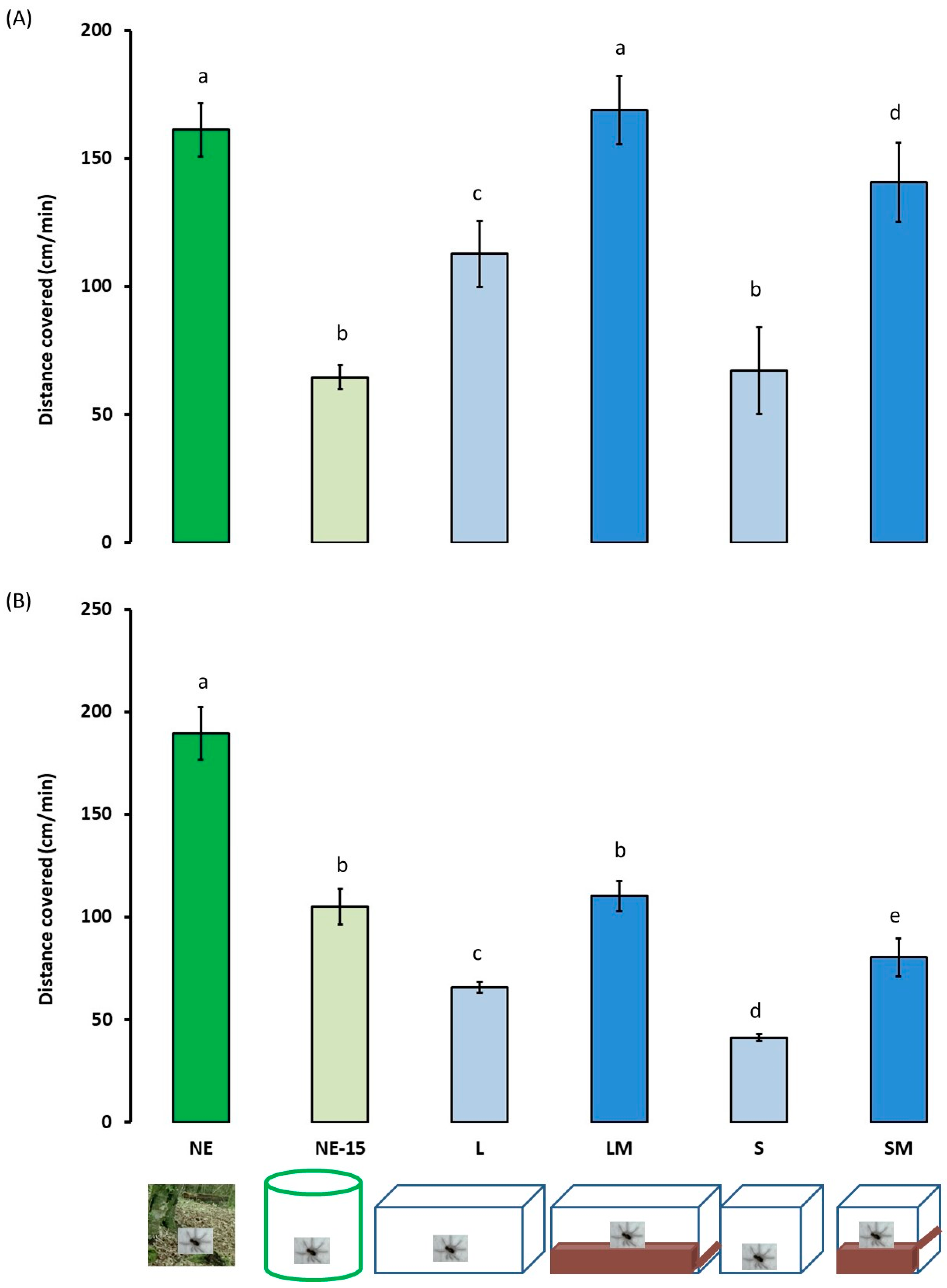 Insects 13 00135 g008