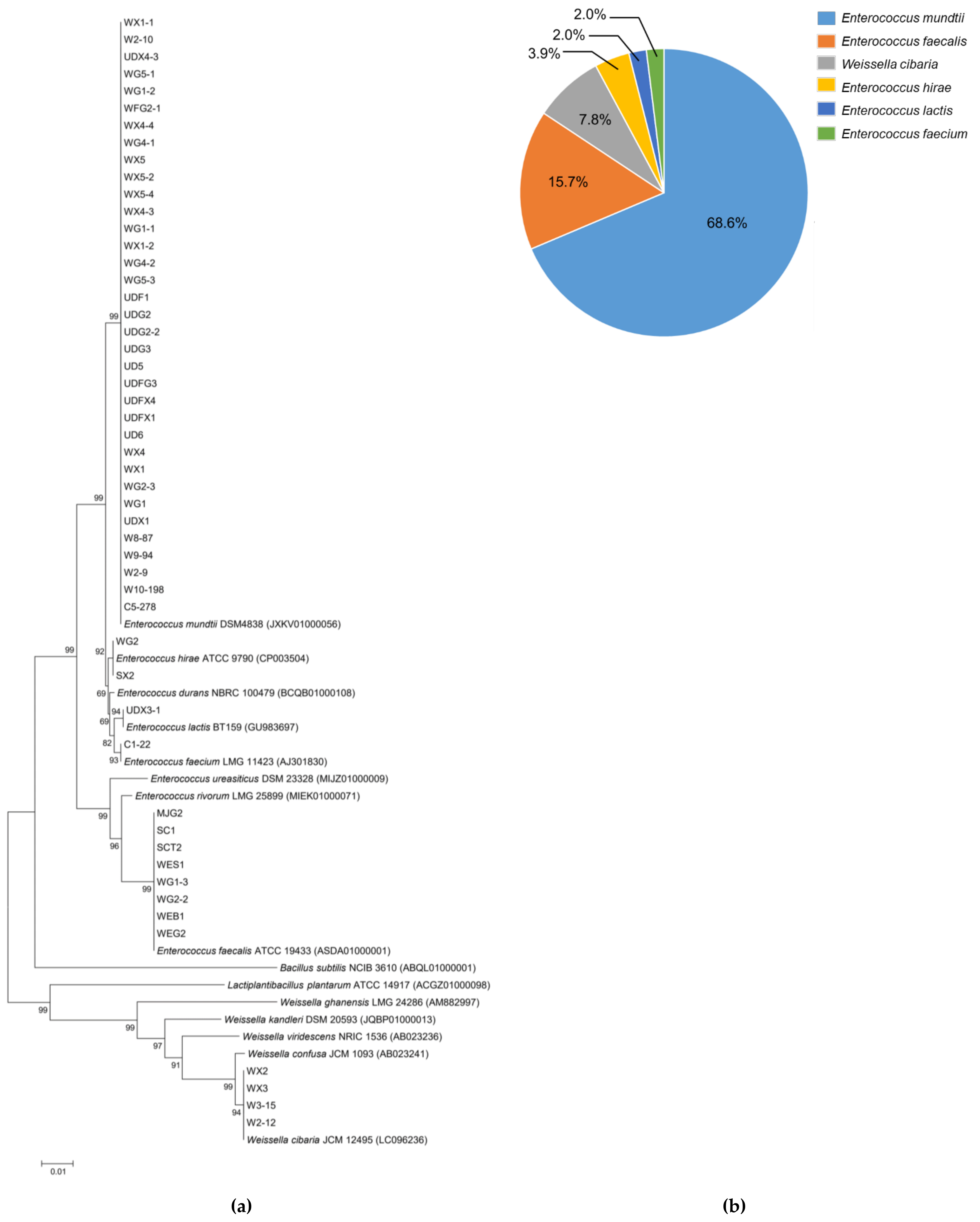 Insects 13 00136 g002