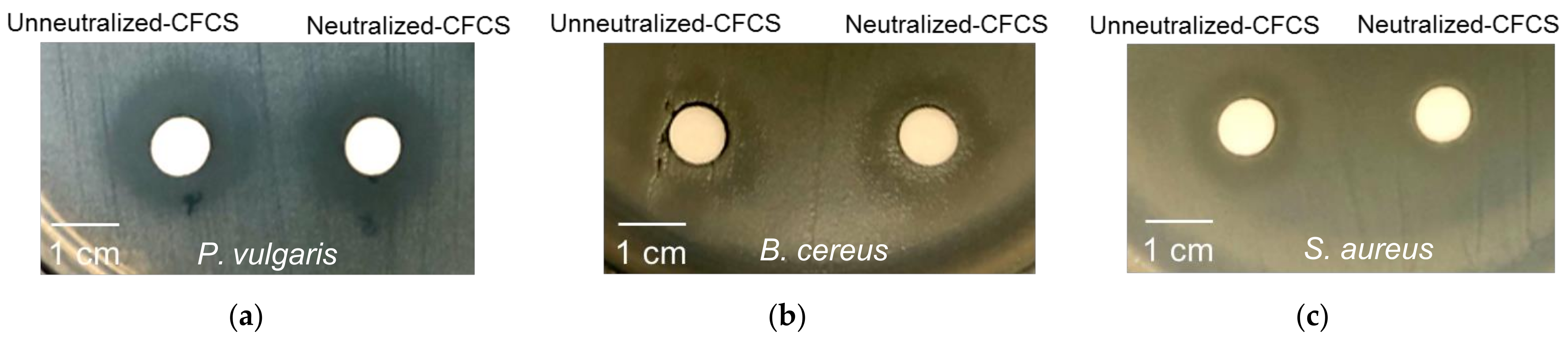 Insects 13 00136 g004