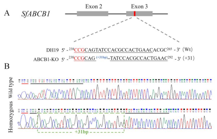 Insects 13 00137 g001