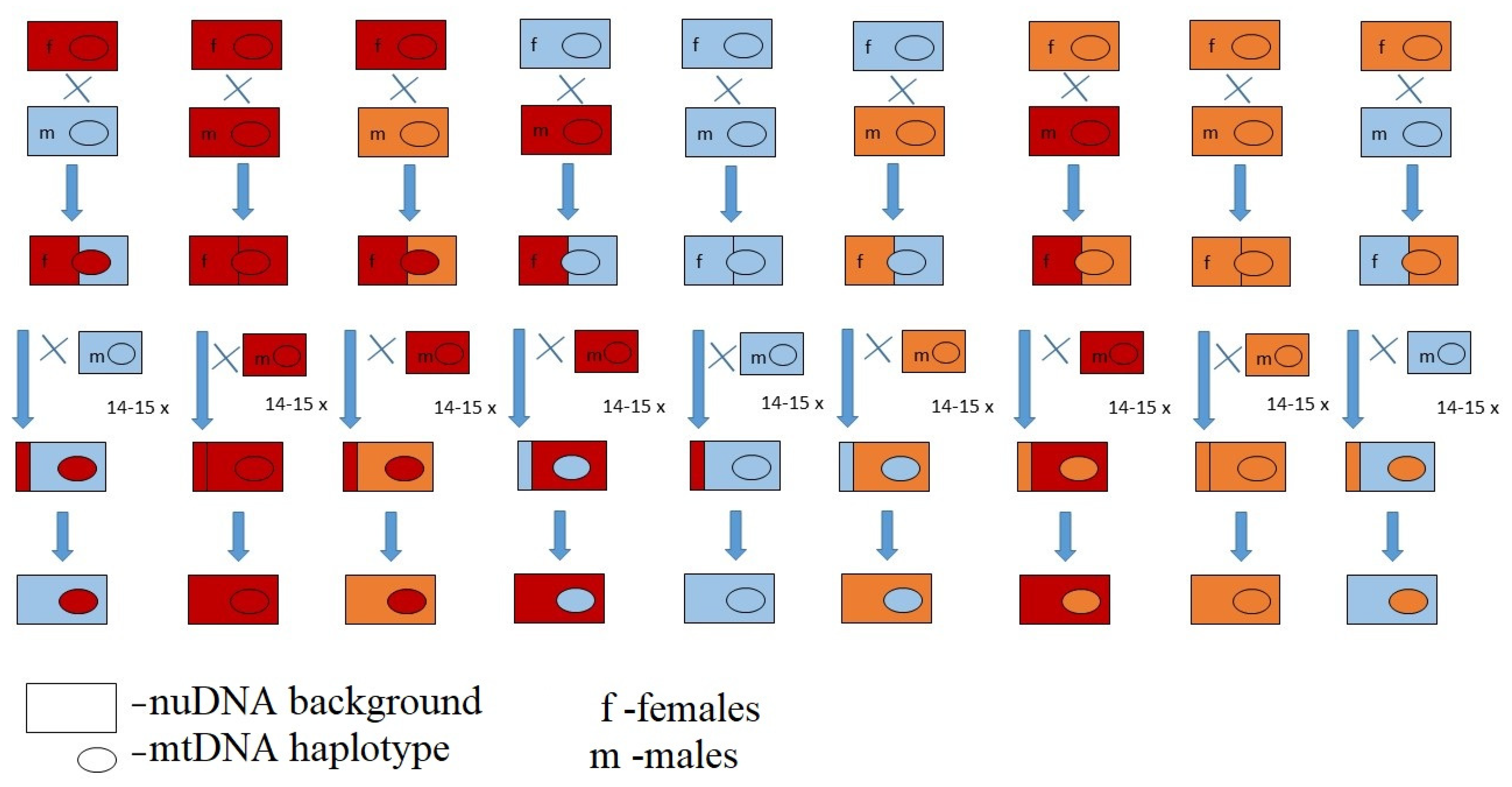 Insects 13 00139 g001